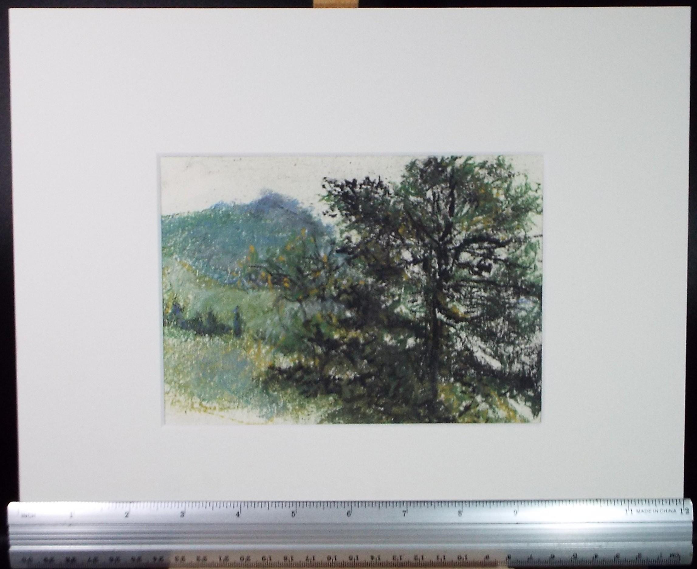 Original Pastel, 'Tree in a green landscape', Graham Benton RBSA (1934-2022), Dated 2004