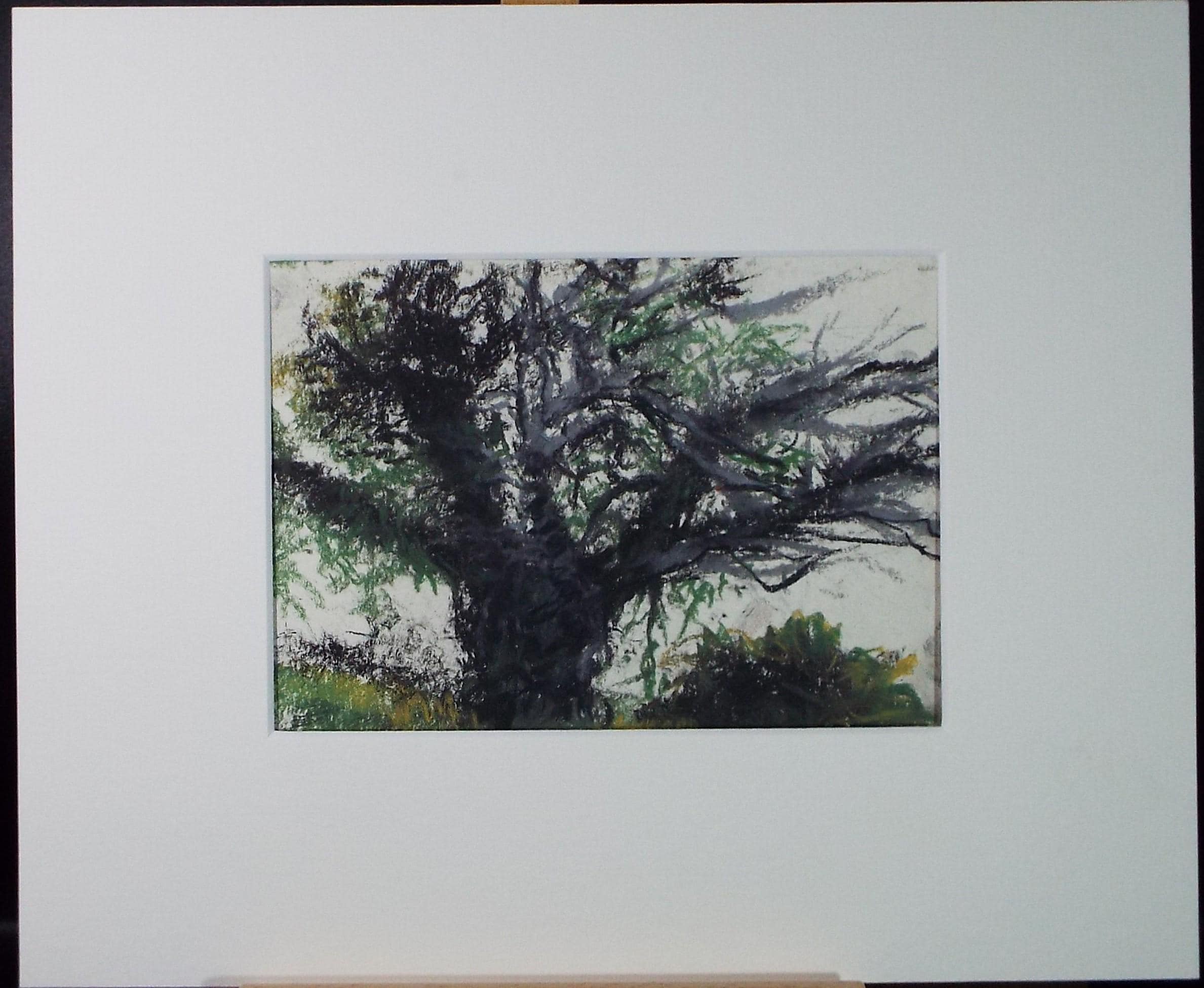 Original Pastel, 'Tree Study', Graham Benton RBSA (1934-2022), Dated 2004