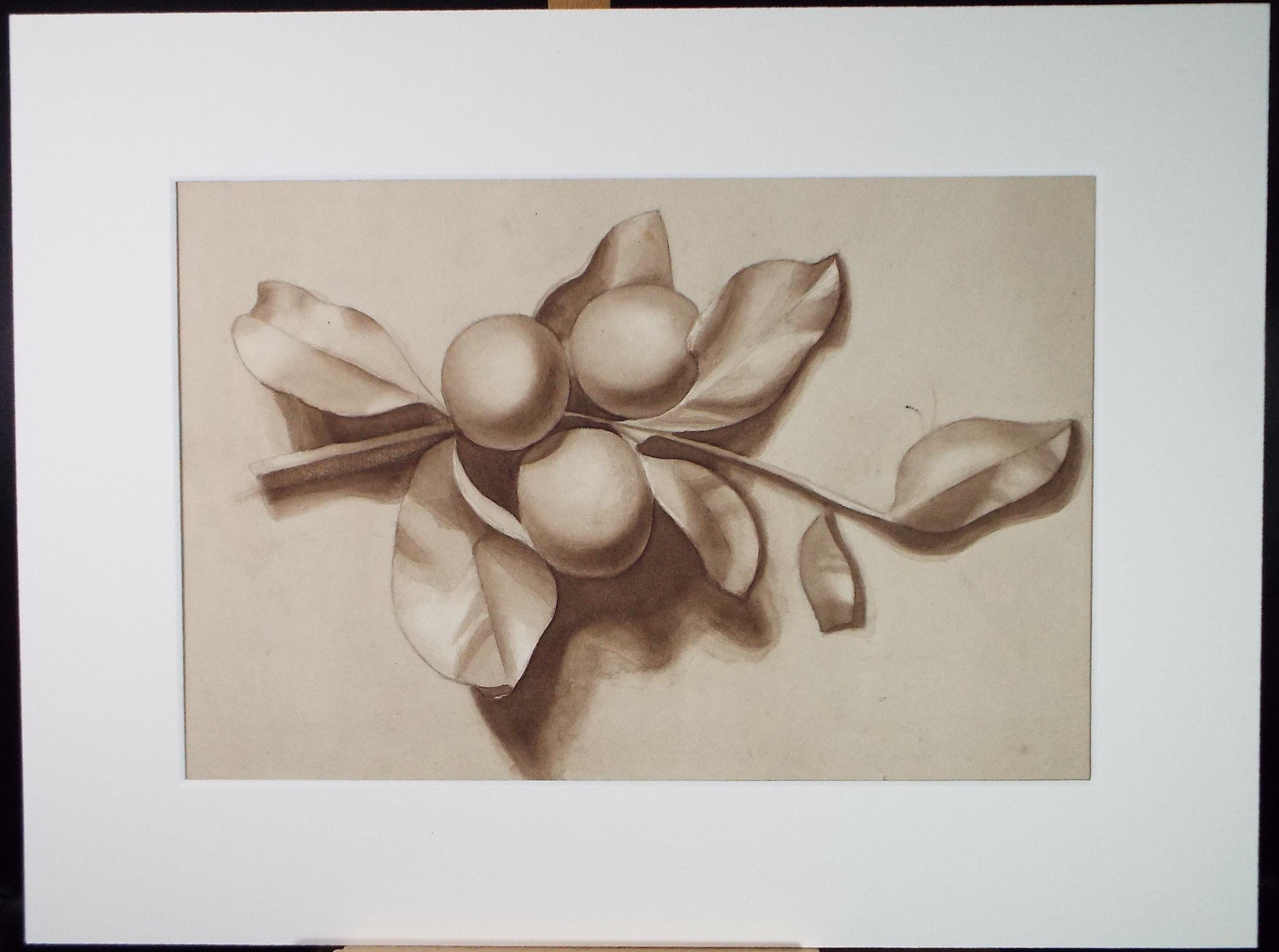 Original Watercolour 'Fruit Study, Circa 1950's, Unknown artist