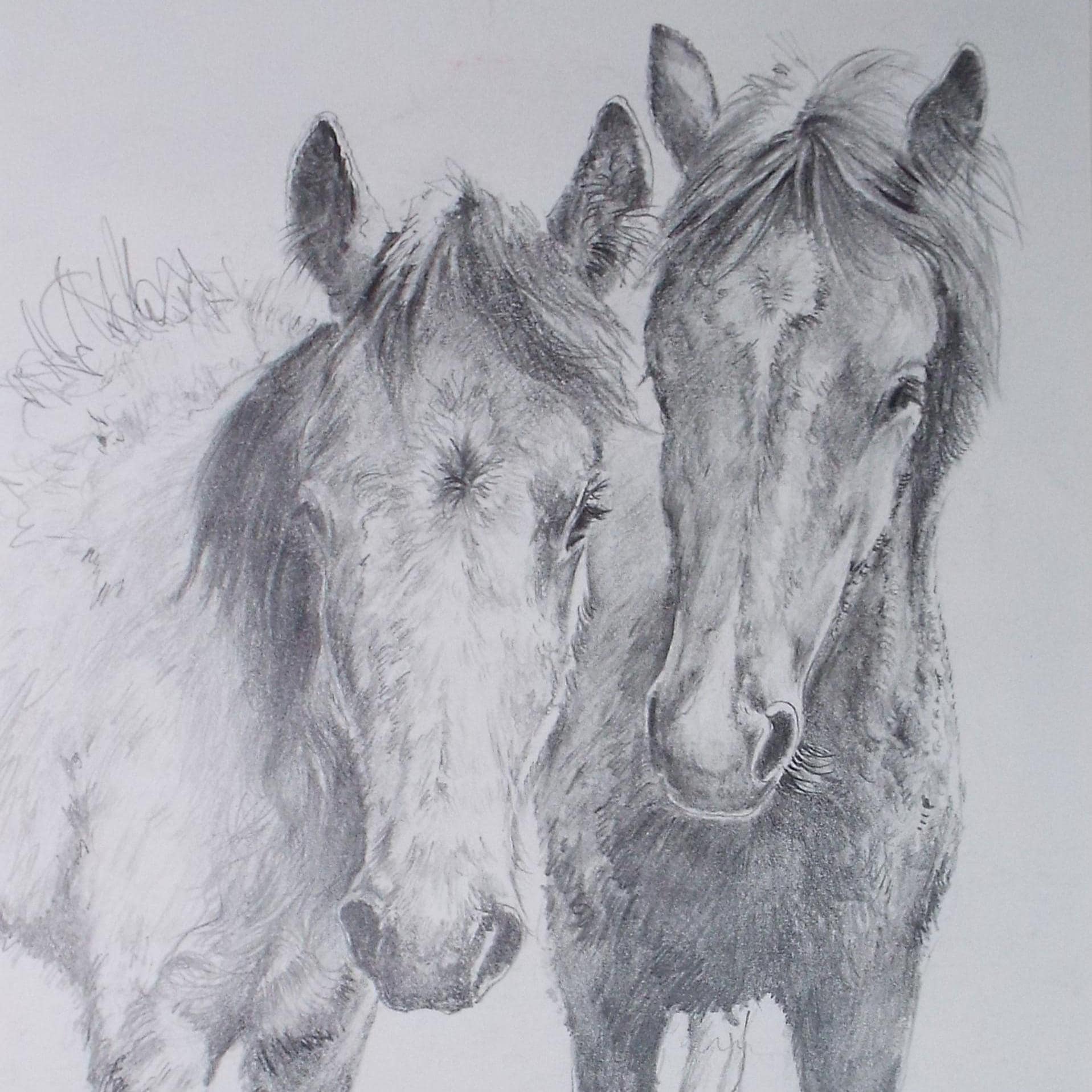 Original Pencil drawing, 'Two Ponies', A Javery, circa 1980's