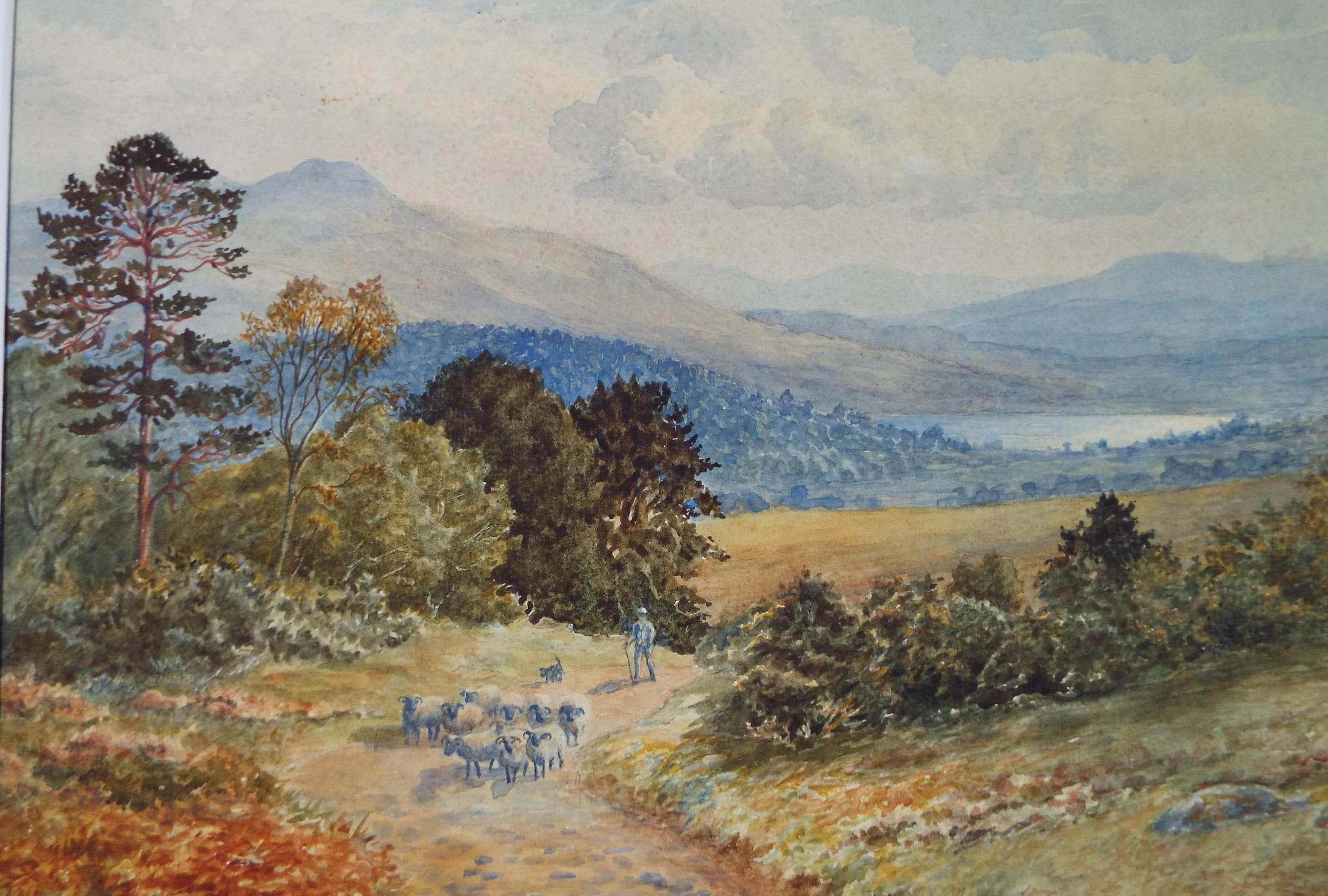 Original Watercolour, 'Herding sheep', Circa 1900, A Mathew