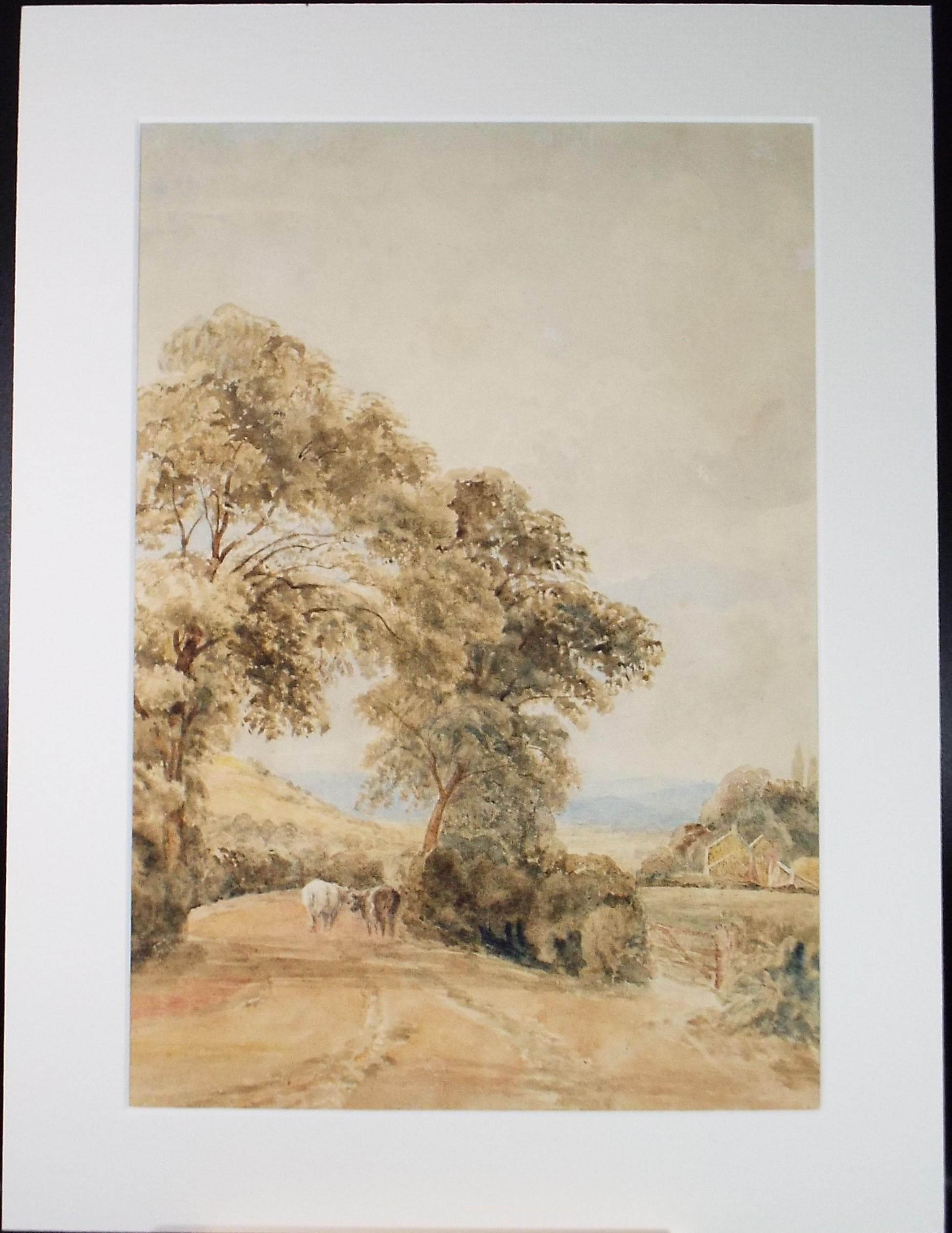 Original Watercolour, 'Cattle in a Lane' - Late 19th Century, Artist Unknown