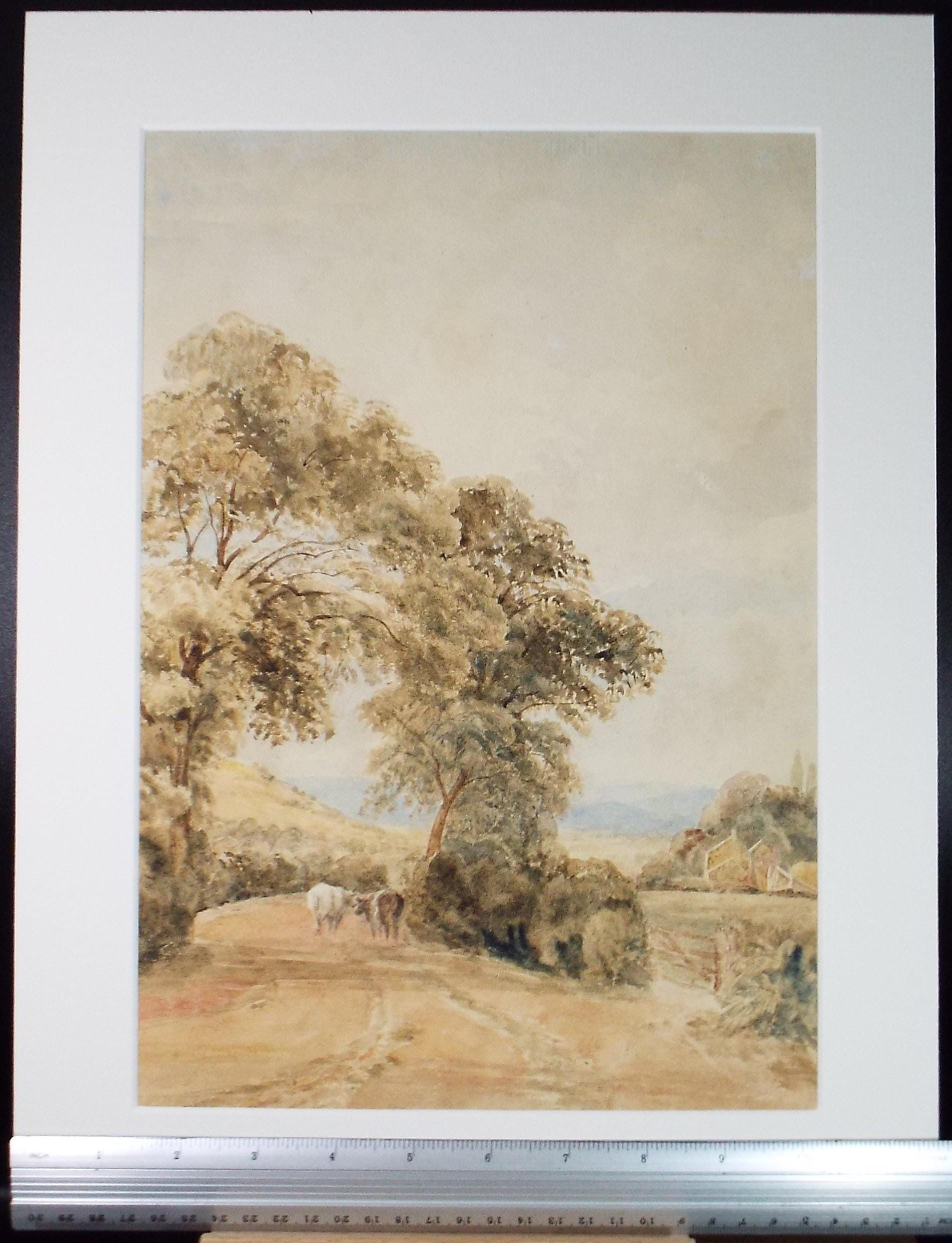 Original Watercolour, 'Cattle in a Lane' - Late 19th Century, Artist Unknown