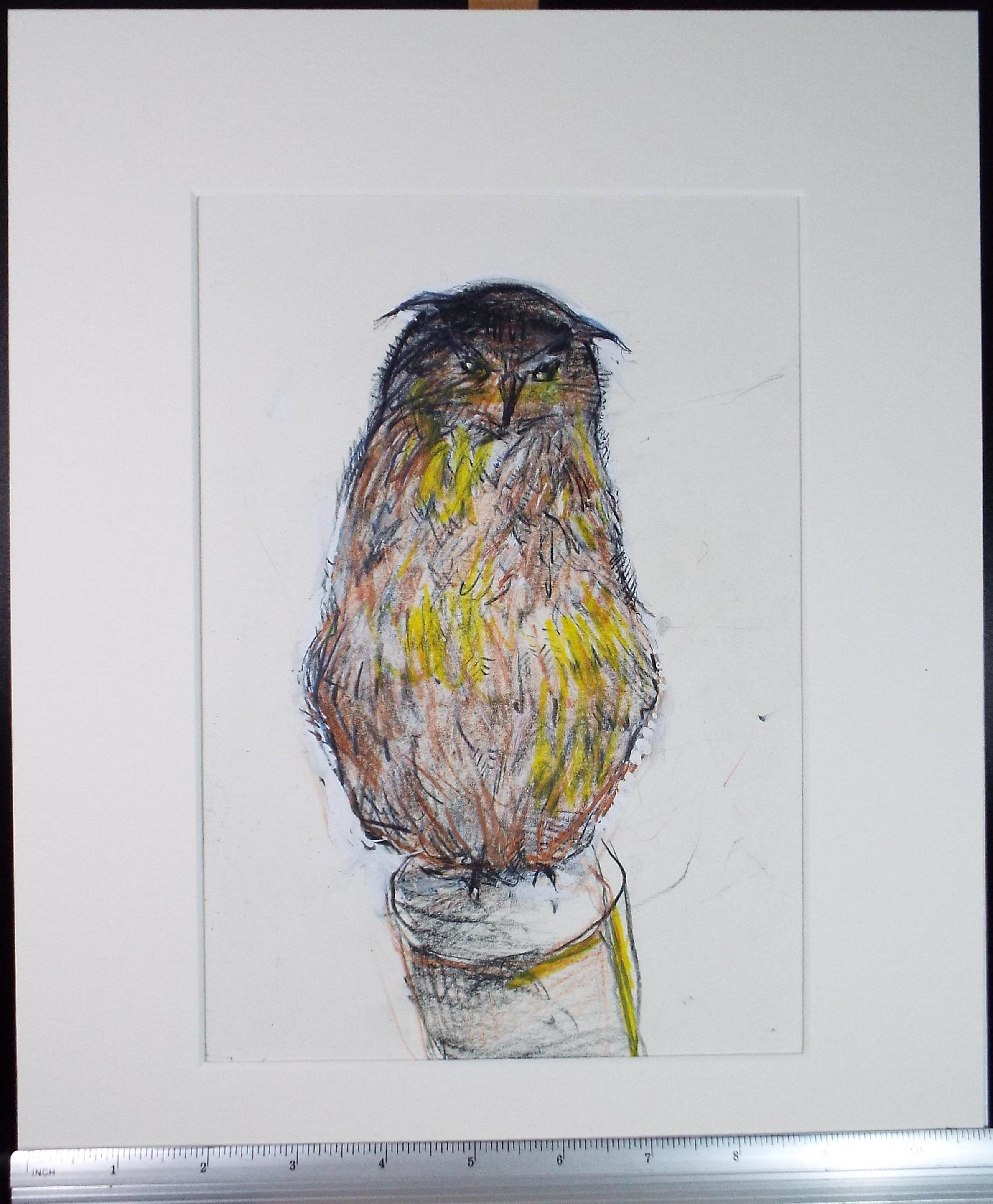 Original coloured pencil & Gouache,'Owl', 2005, John Gilbey Bowles (1929-2011)