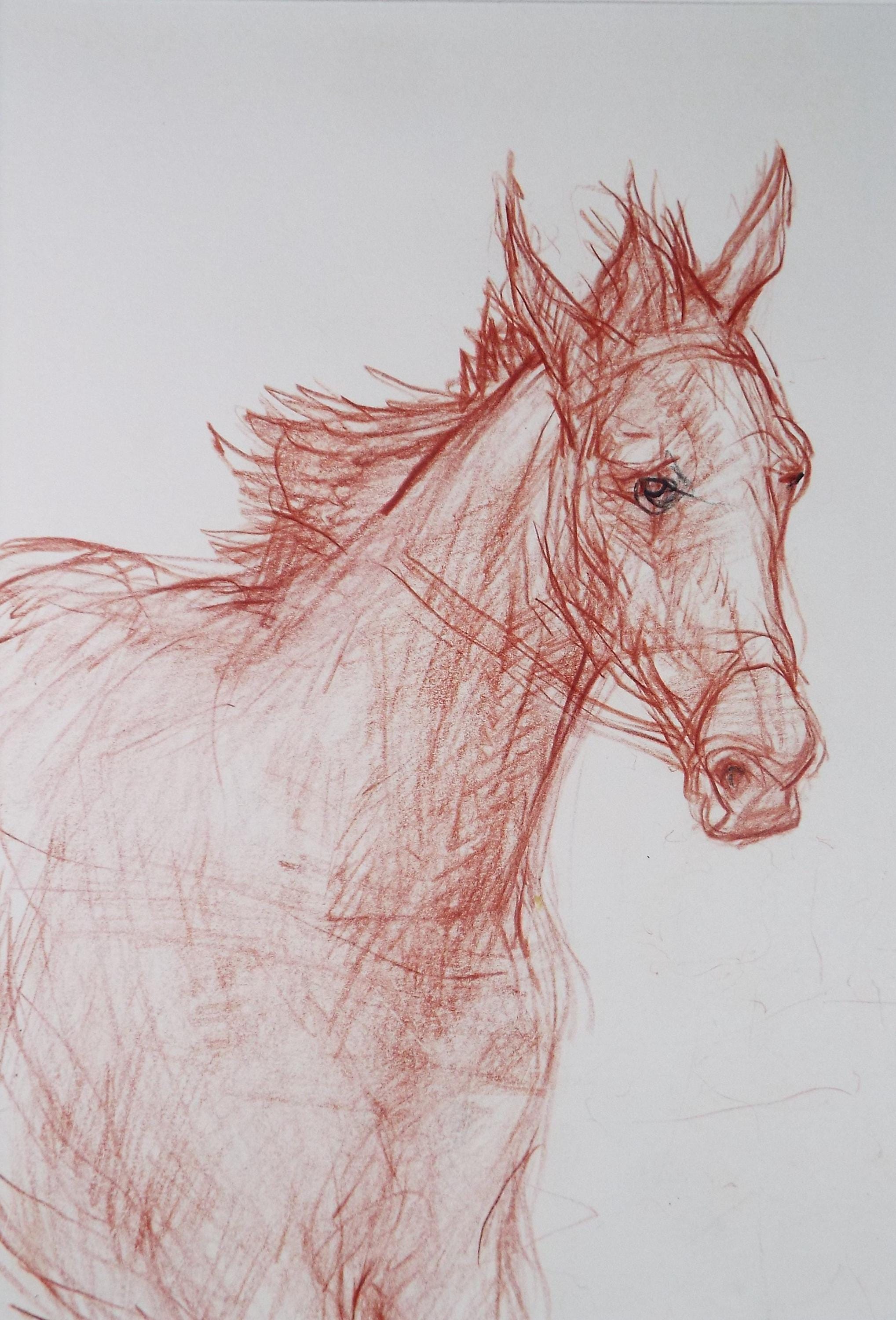 Original coloured pencil,'Horse', 2005, John Gilbey Bowles (1929-2011)