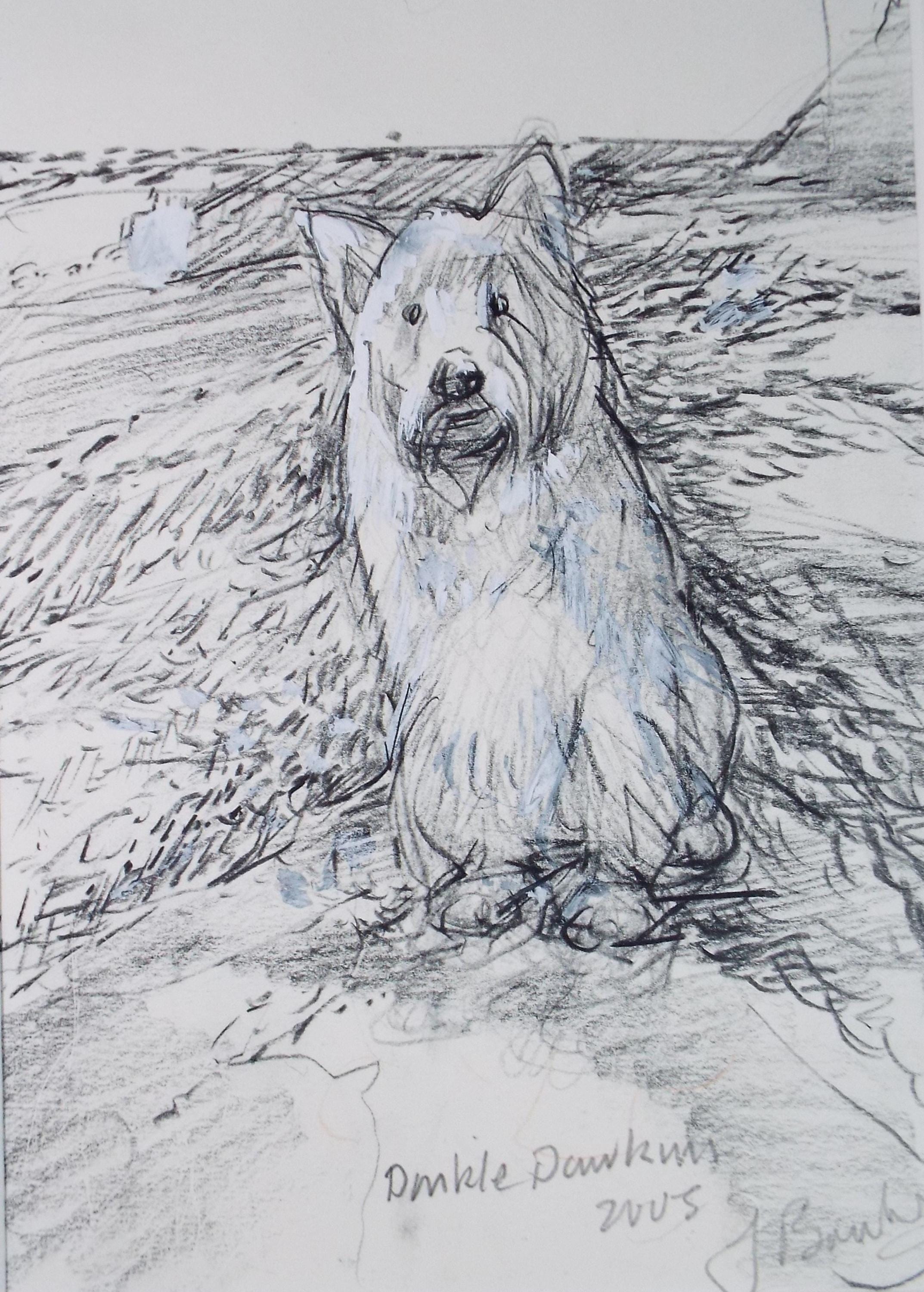 Original coloured pencil & Gouache,'Dinkle Dawkins', 2005, John Gilbey Bowles (1929-2011)