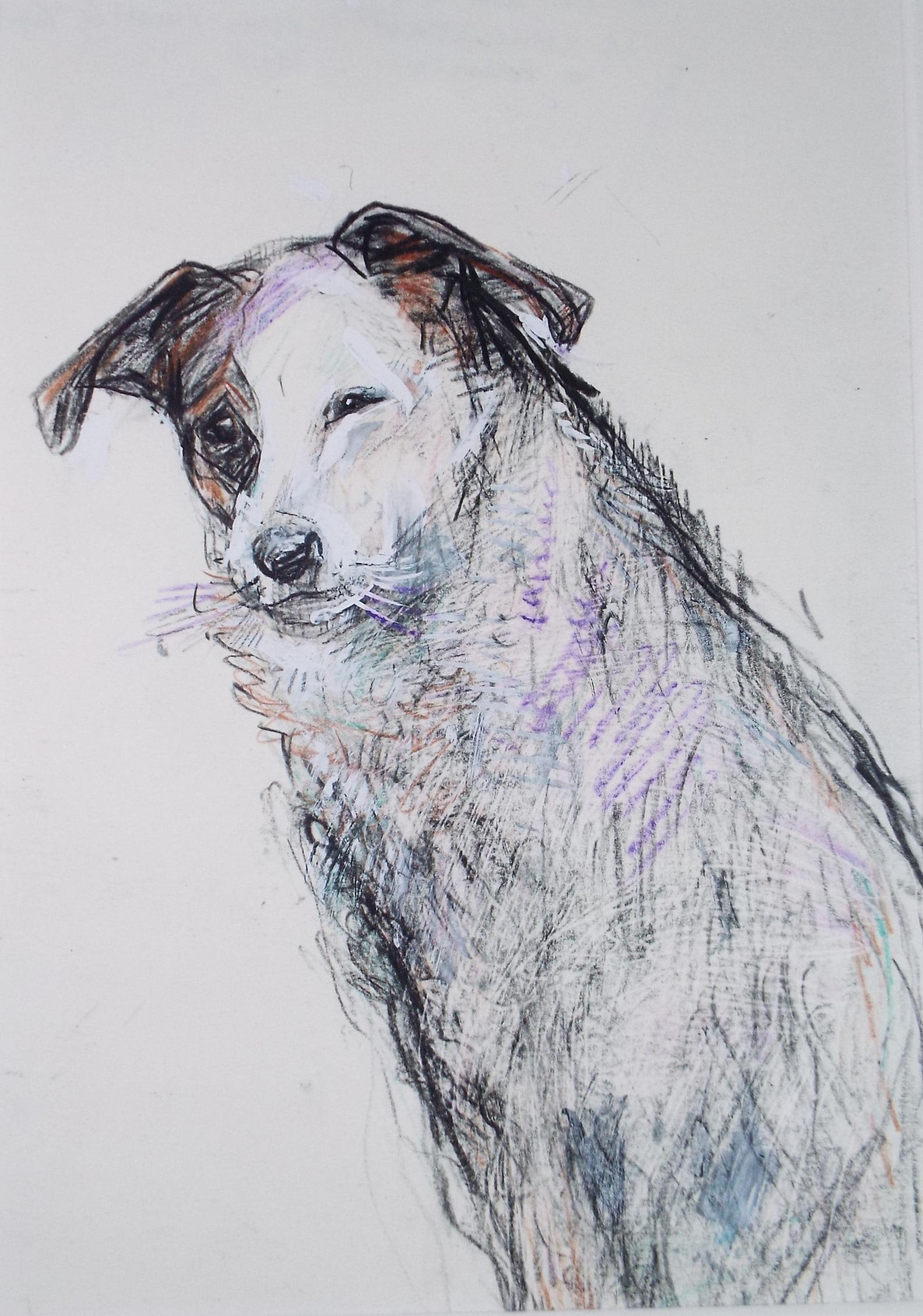 Original coloured pencil & Gouache,'Terrier', 2005, John Gilbey Bowles (1929-2011)