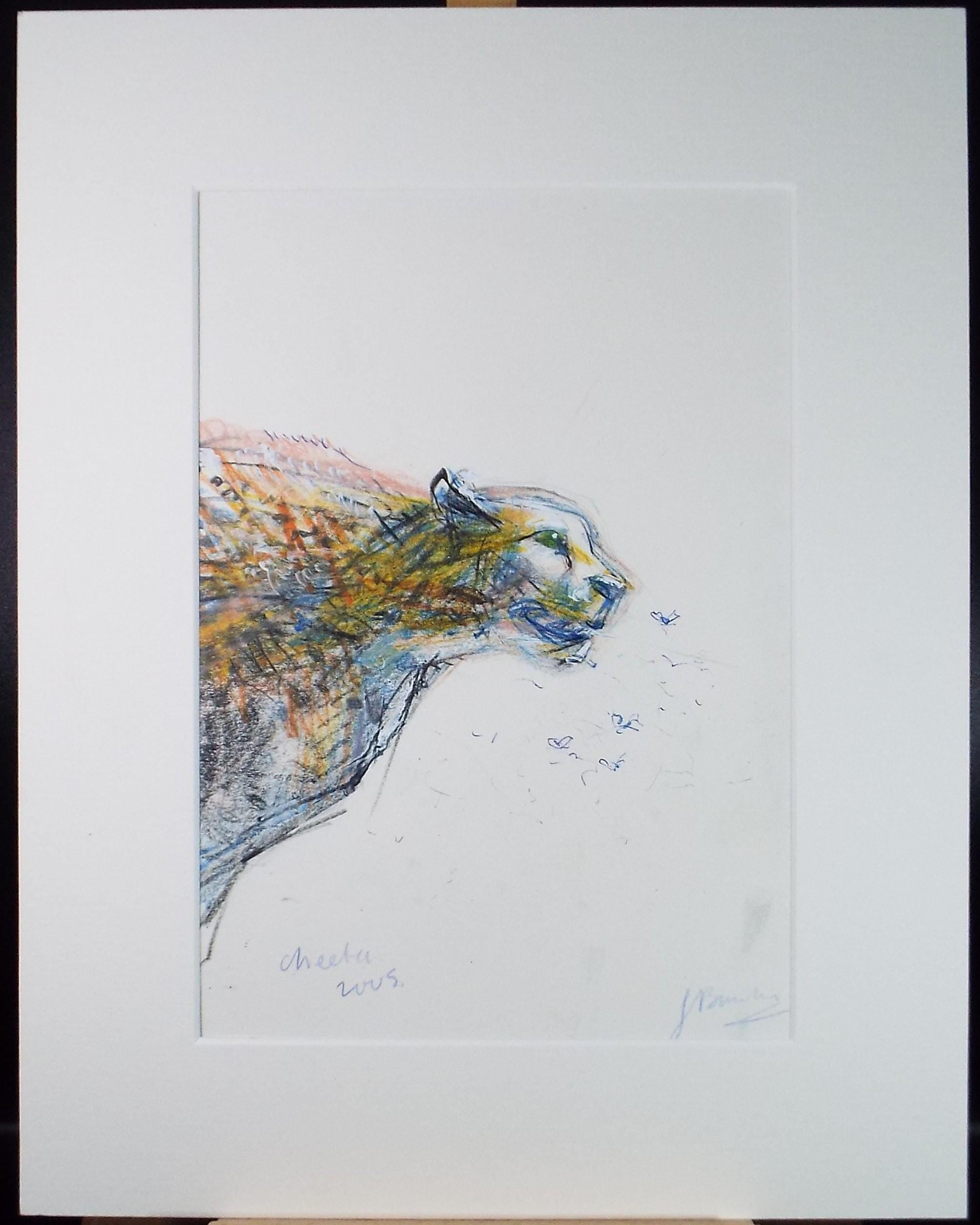 Original coloured pencil & Gouache,'Cheetah', 2005, John Gilbey Bowles (1929-2011)