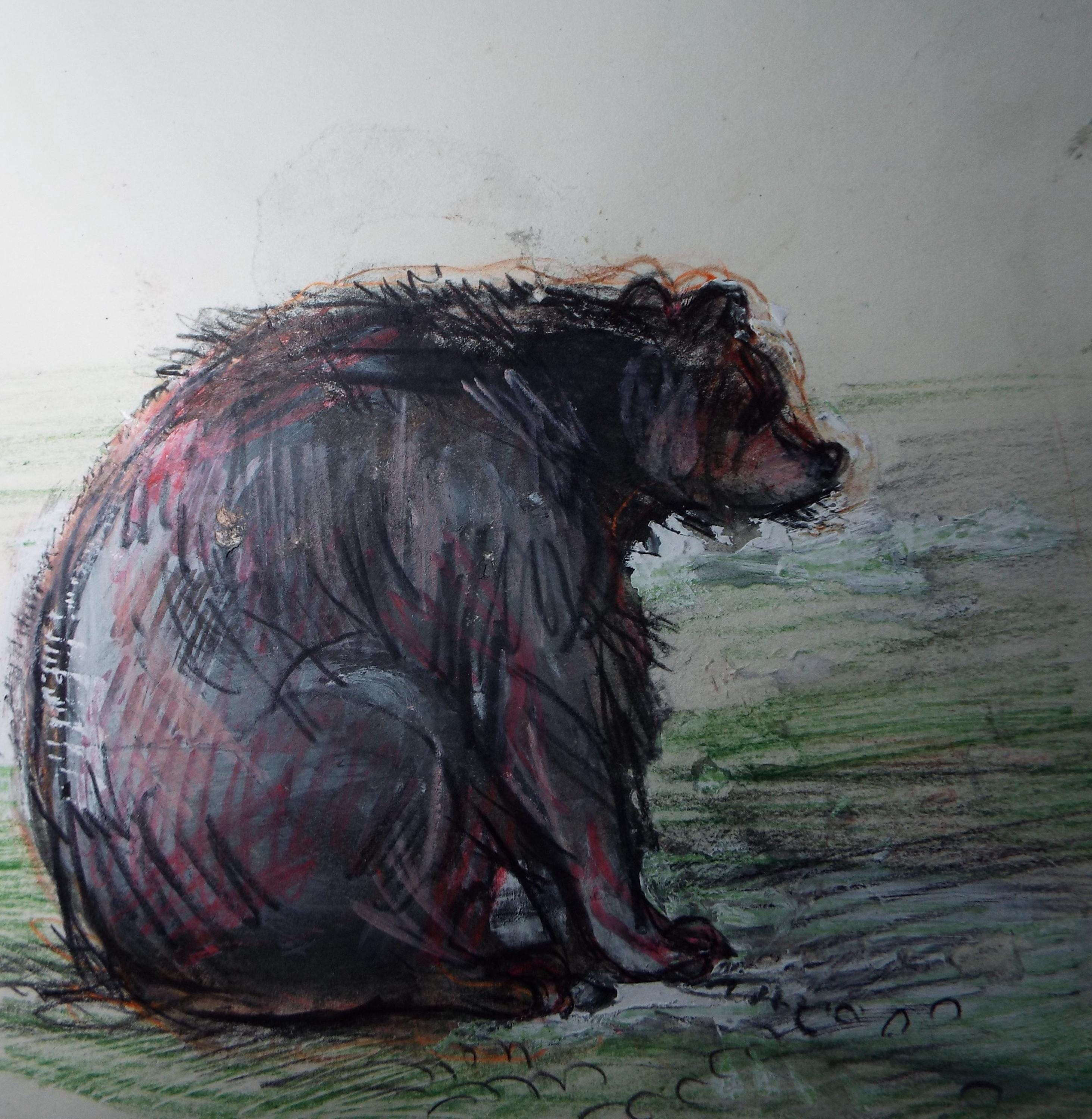 Original coloured pencil & Gouache,'Brown Bear', 2005, John Gilbey Bowles (1929-2011)