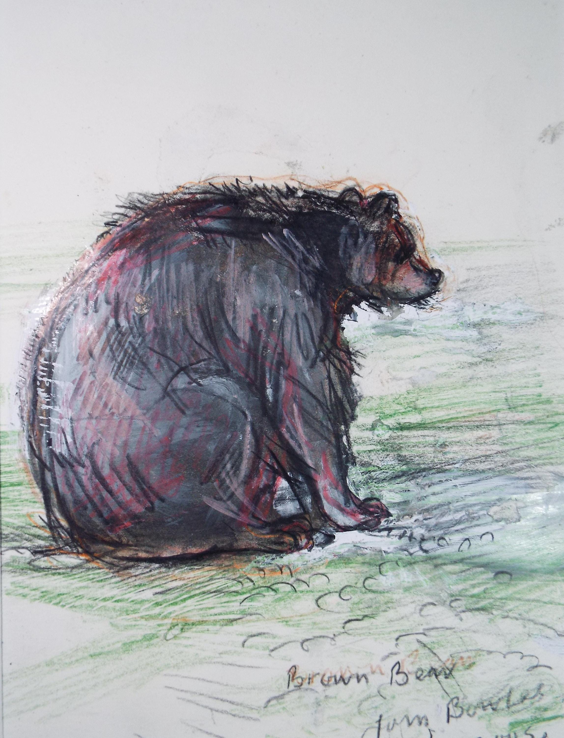 Original coloured pencil & Gouache,'Brown Bear', 2005, John Gilbey Bowles (1929-2011)