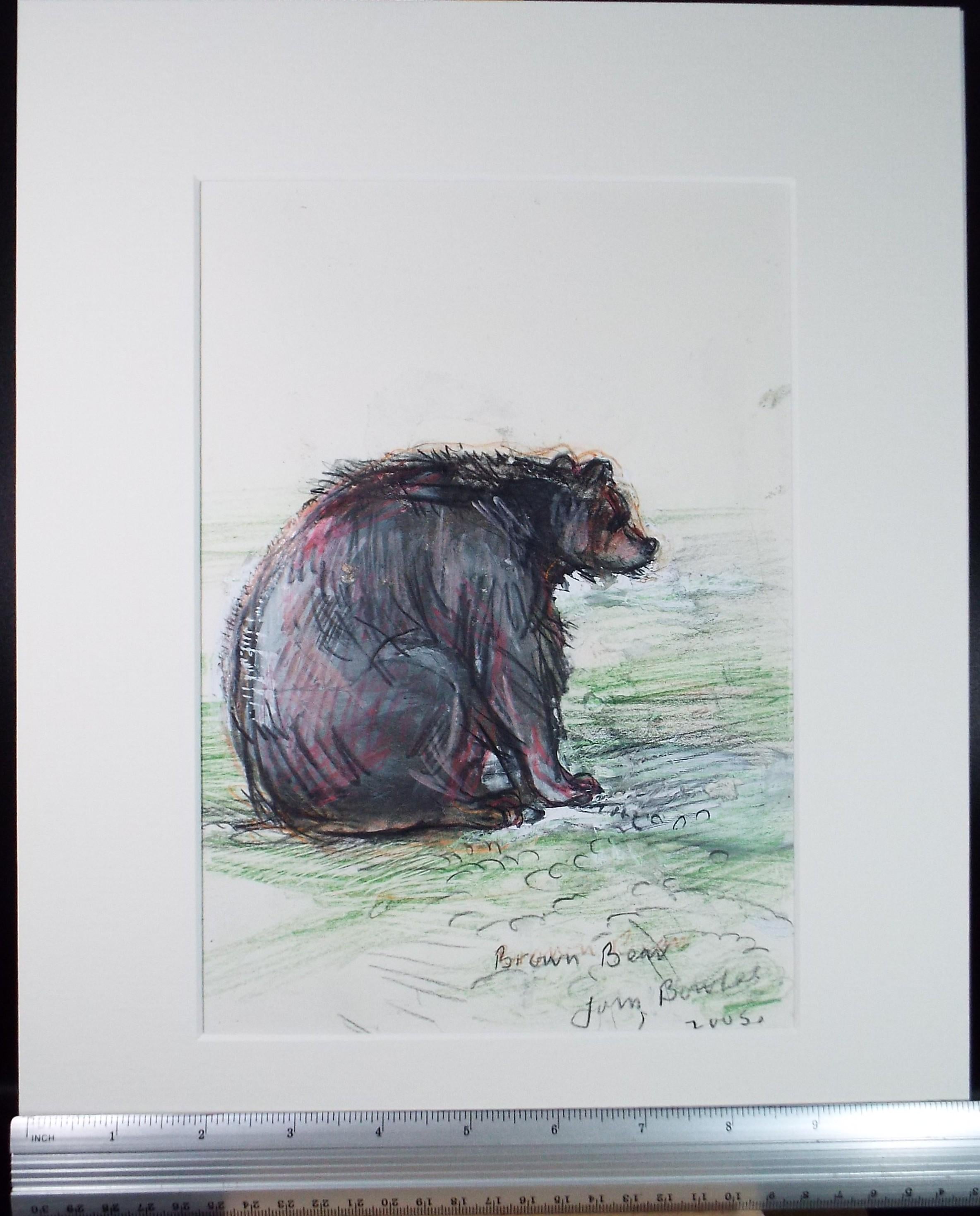 Original coloured pencil & Gouache,'Brown Bear', 2005, John Gilbey Bowles (1929-2011)