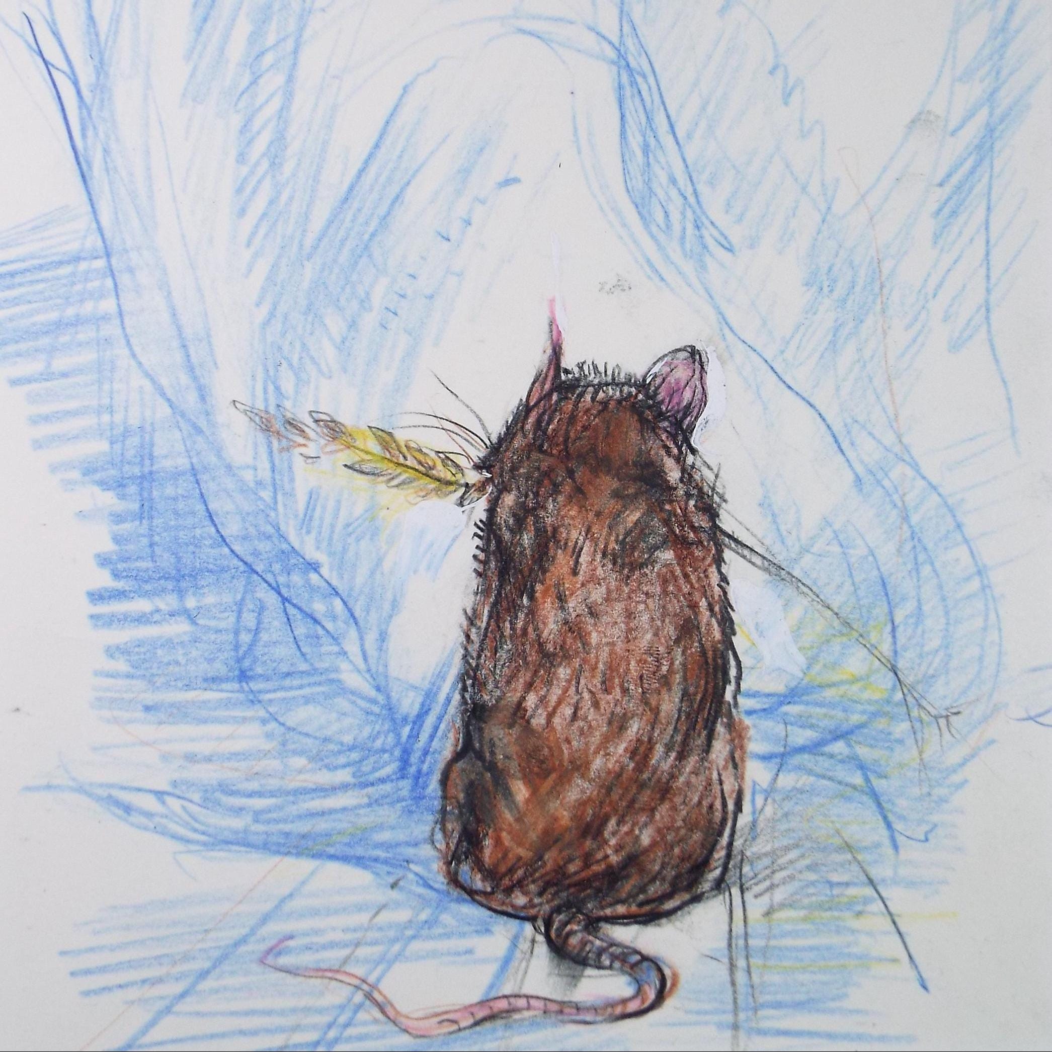 Original coloured pencil & Gouache,'Harvest Mouse', 2005, John Gilbey Bowles (1929-2011)