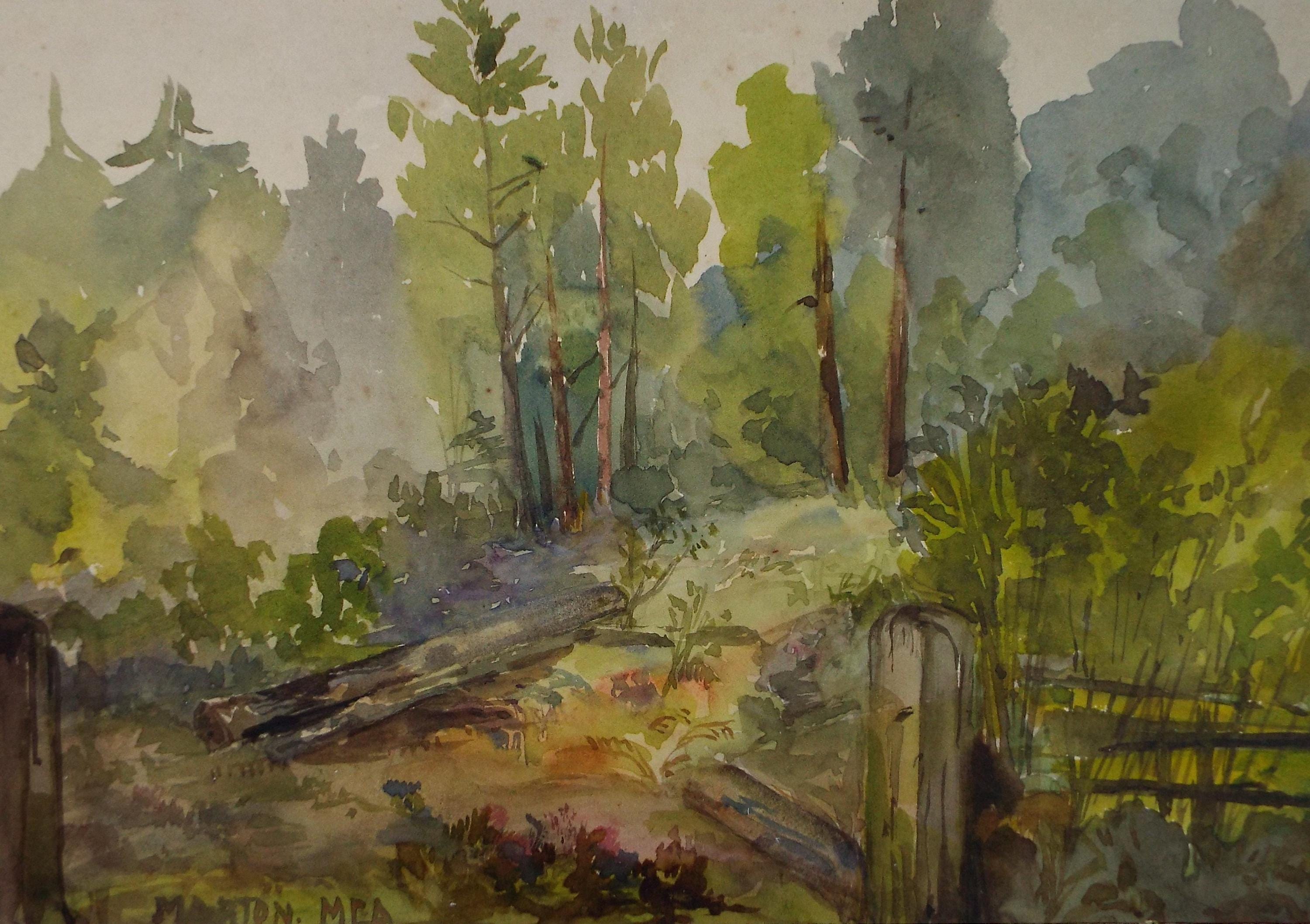 Original Watercolour , 'Woodland with felled trees', Circa 1900, M.E.A