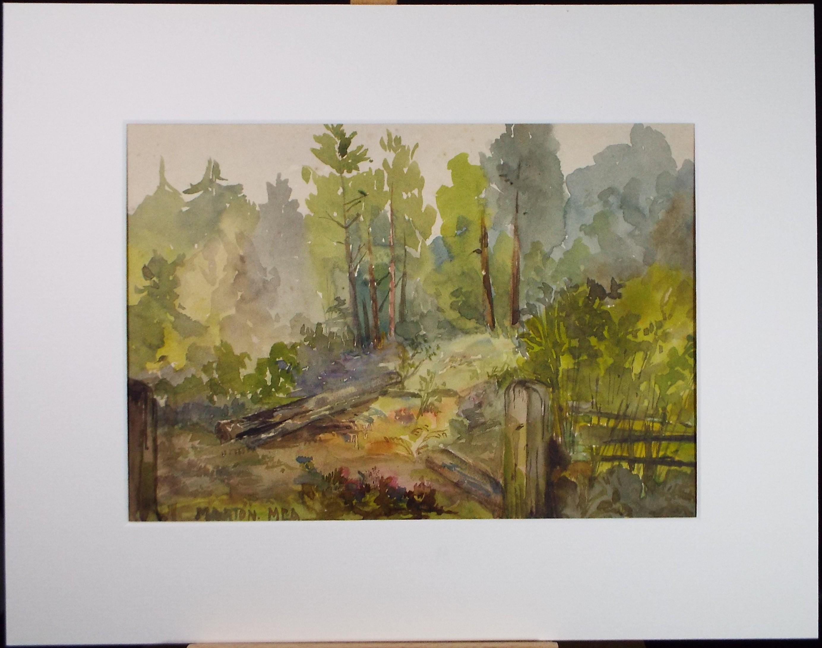 Original Watercolour , 'Woodland with felled trees', Circa 1900, M.E.A