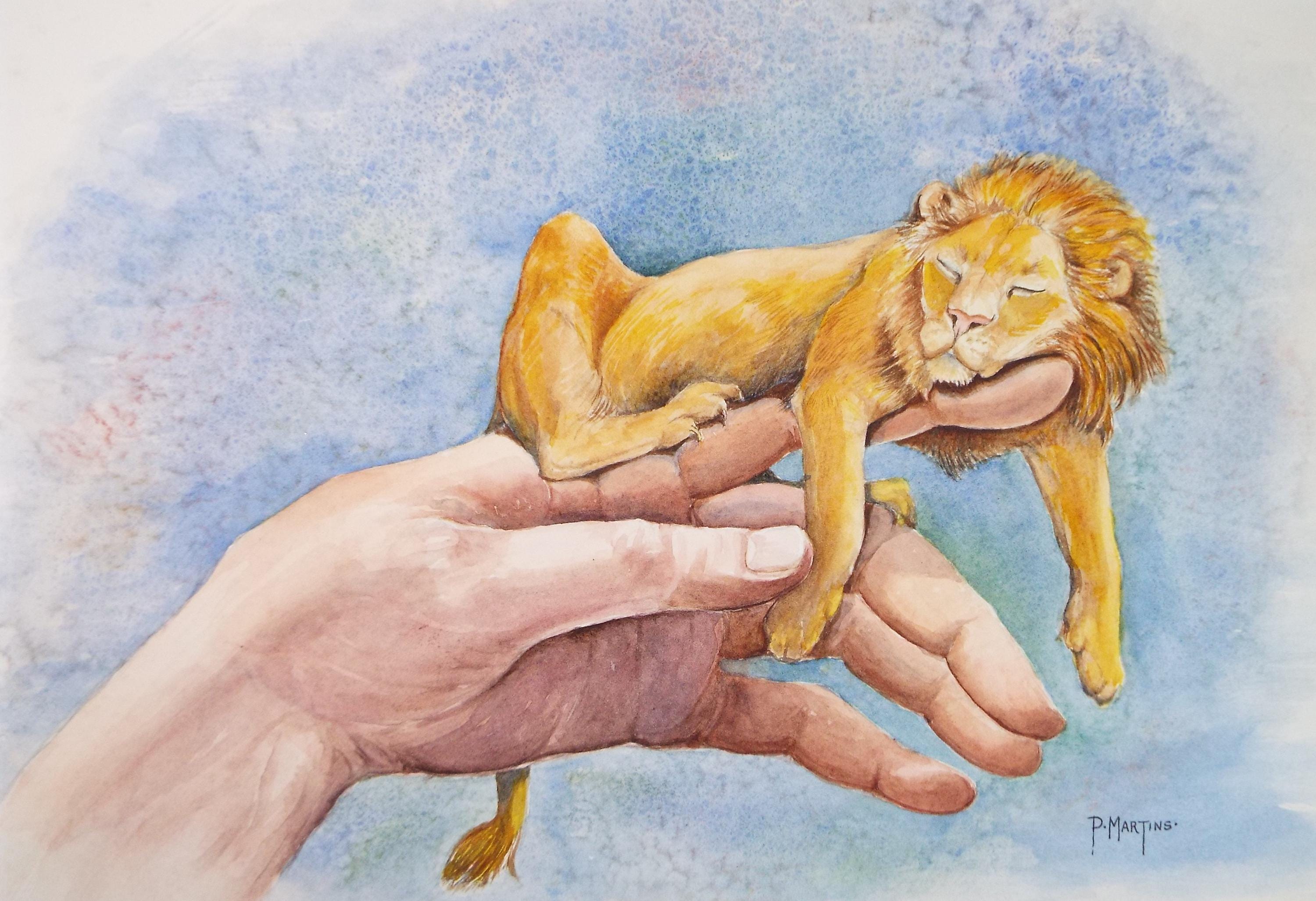 Watercolour painting, 'Little Lion', P Martins s.o.f.a., Dated 2002