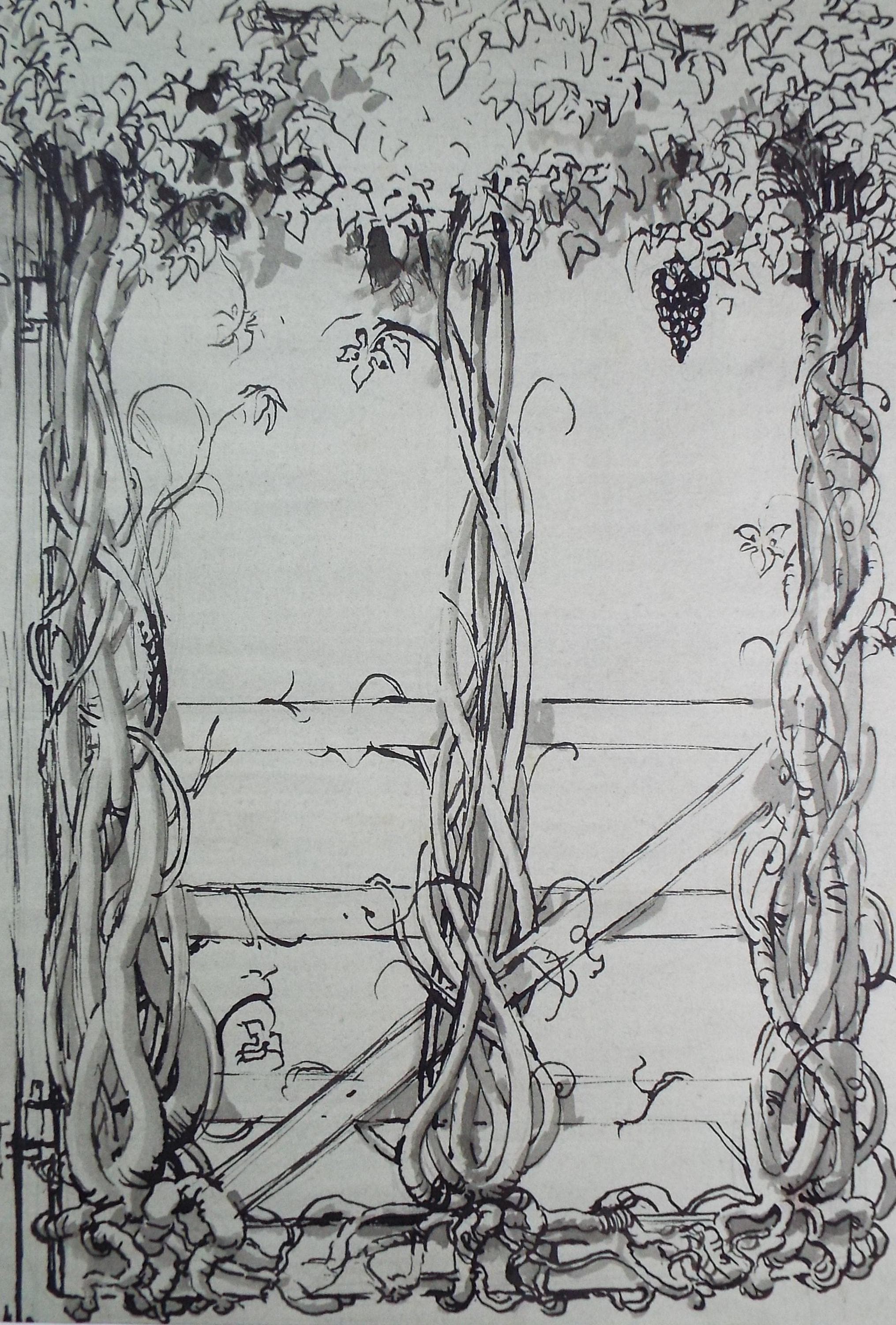 Original Pen & ink drawing, 'Winding Grape Vines', Dated 1959, Artist Unknown