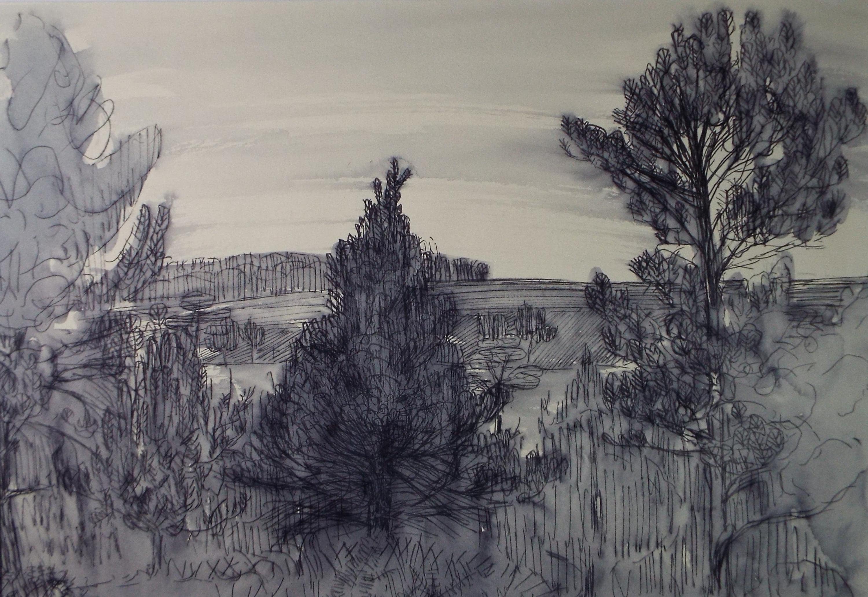 Original Pen & Ink , 'Landscape with distant fields', circa 1960's