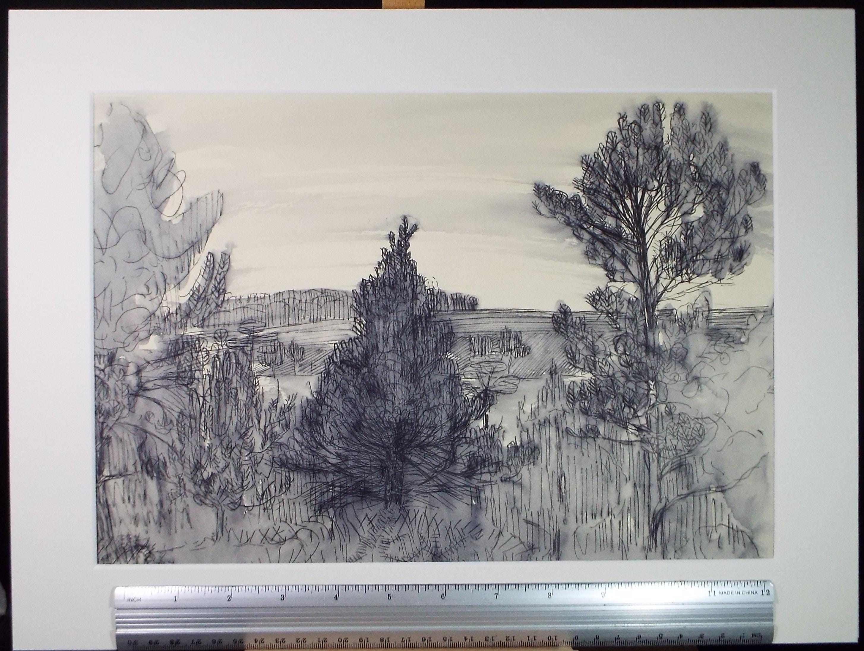 Original Pen & Ink , 'Landscape with distant fields', circa 1960's