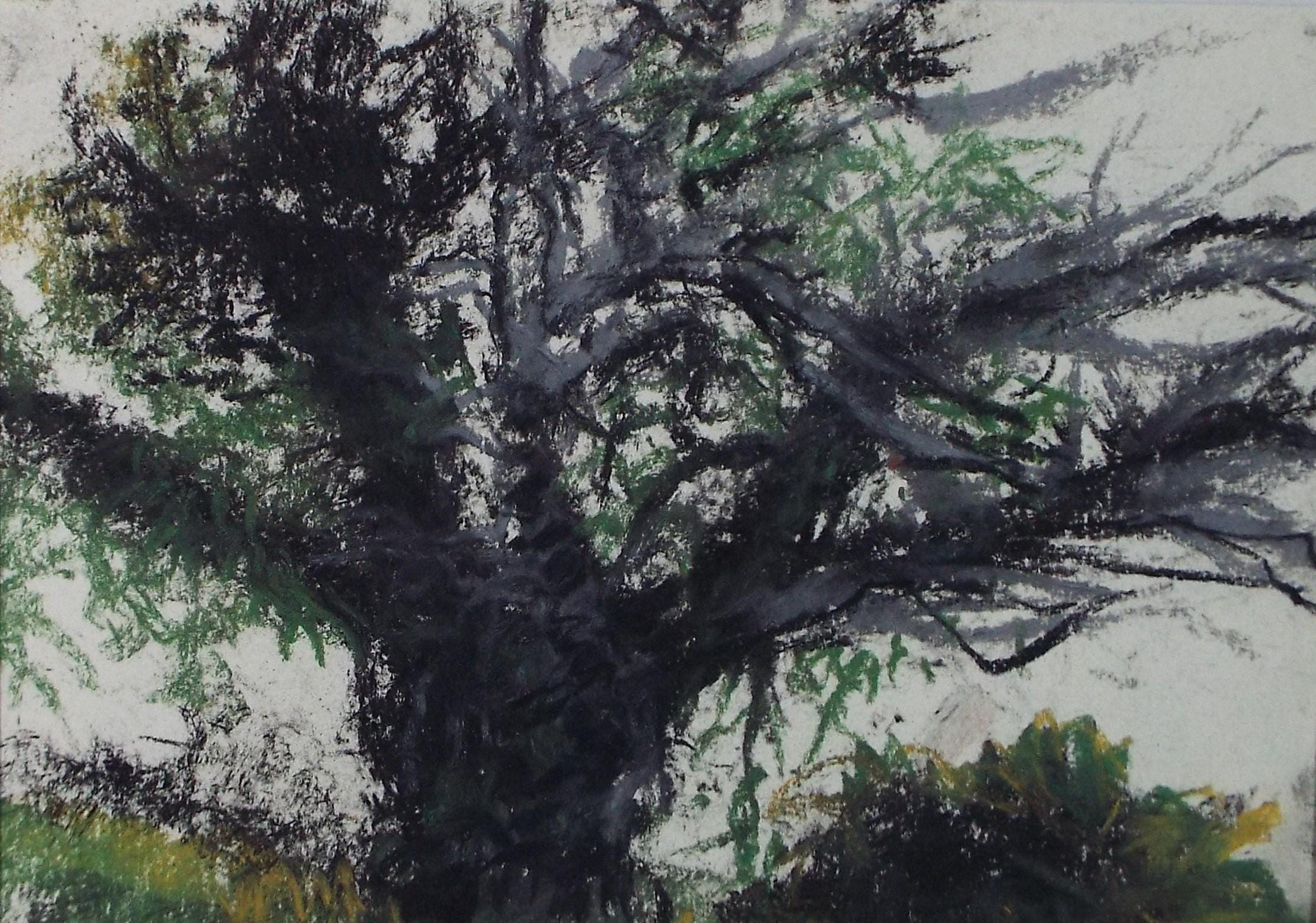 Original Pastel, 'Tree Study', Graham Benton RBSA (1934-2022), Dated 2004