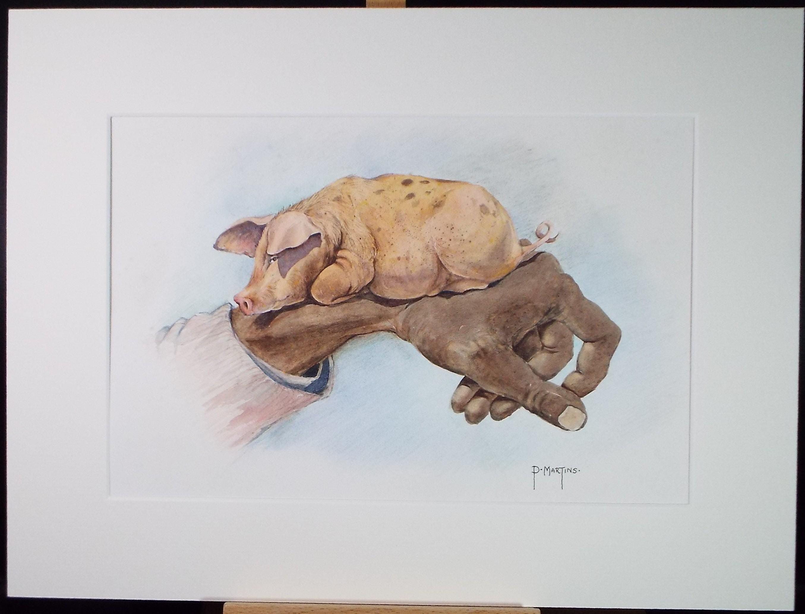 Original Watercolour ,'Little Pig', P Martins s.o.f.a, Dated 2002