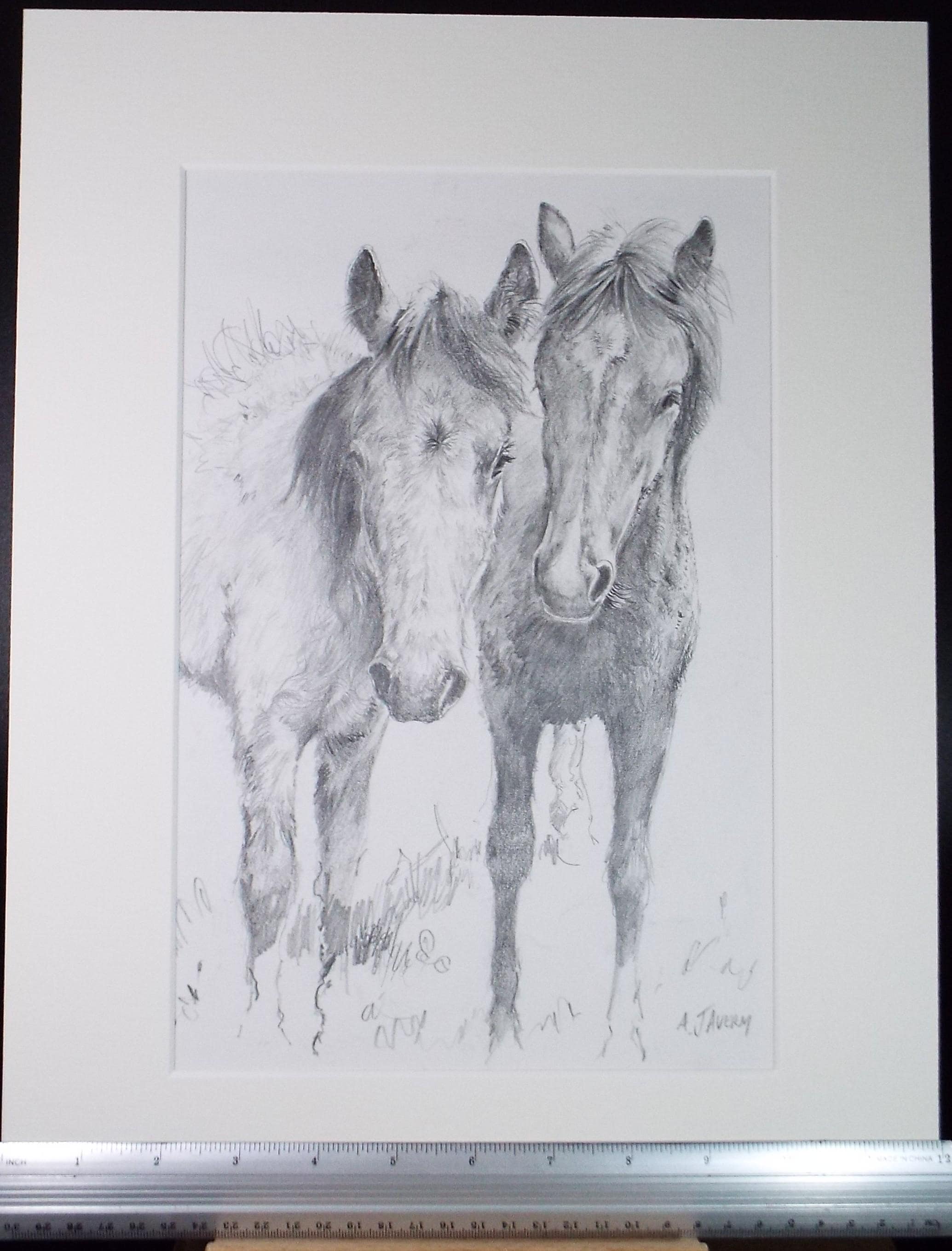 Original Pencil drawing, 'Two Ponies', A Javery, circa 1980's