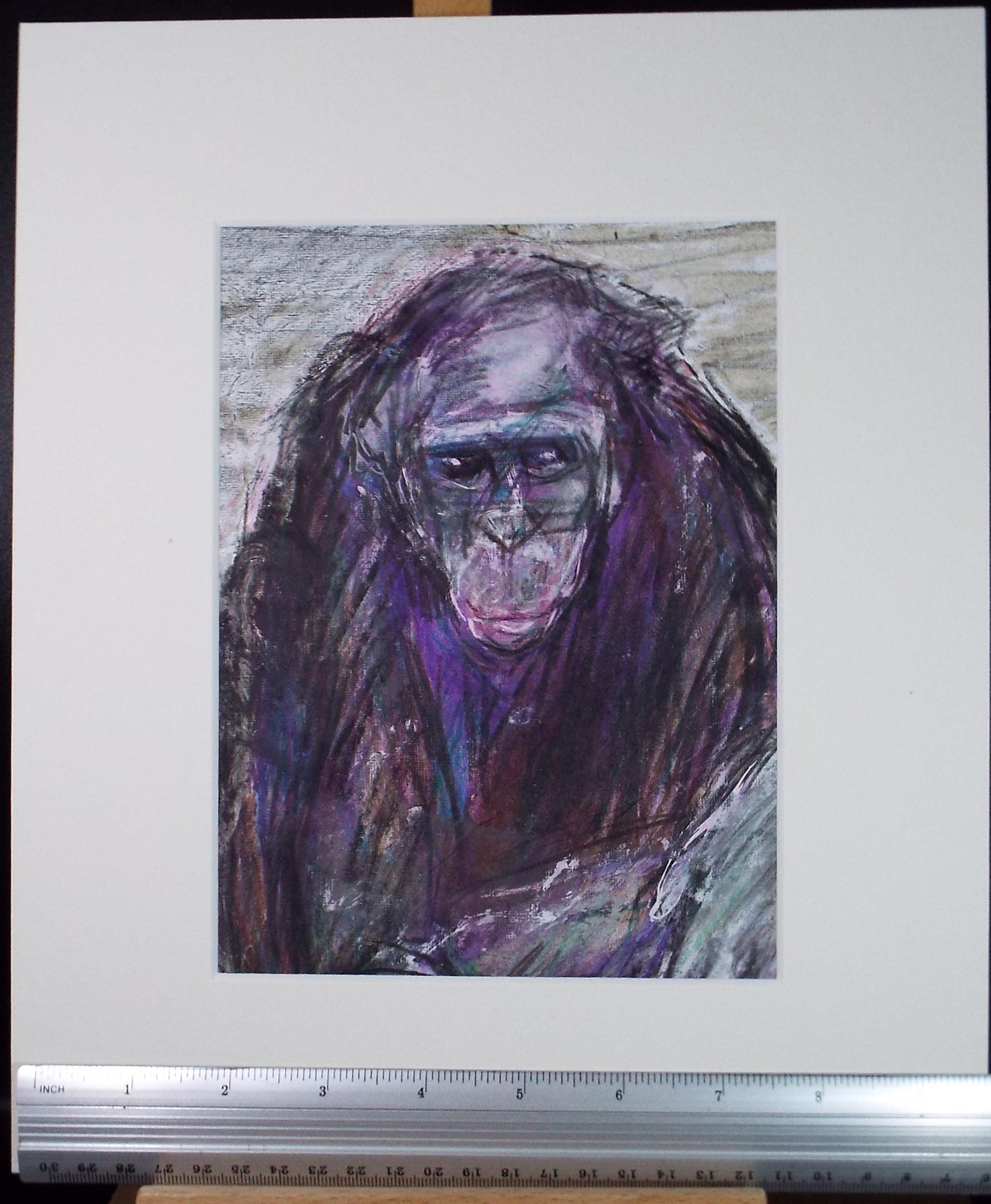 Original mixed media,'Chimpanzee', circa 1990's, John Gilbey Bowles (1929-2011)