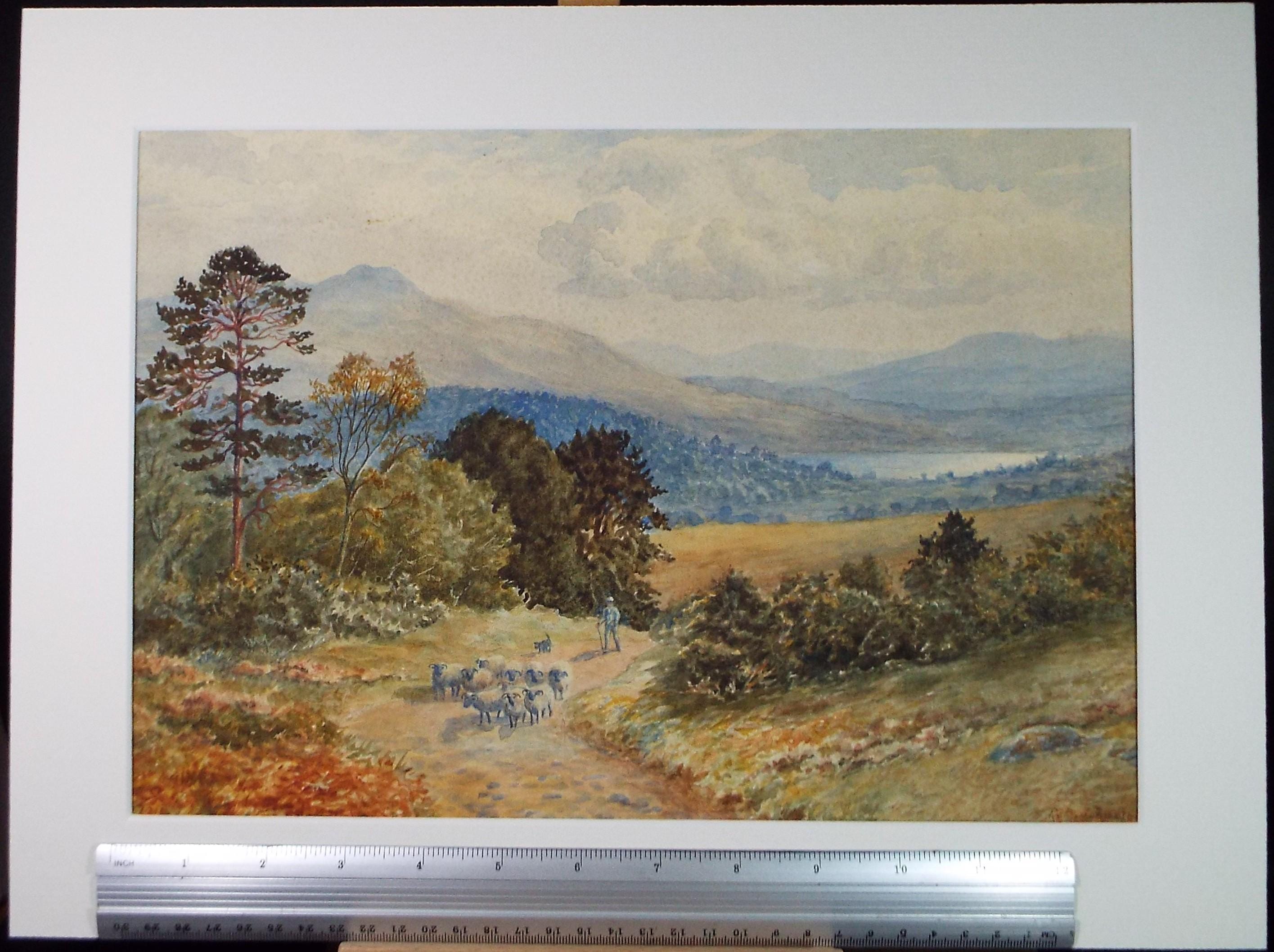 Original Watercolour, 'Herding sheep', Circa 1900, A Mathew