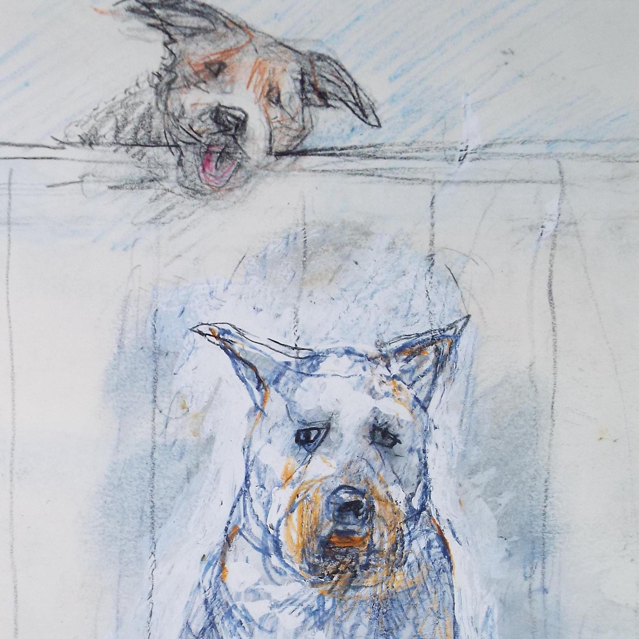 Original coloured pencil & Gouache,'Two Dogs', 2005, John Gilbey Bowles (1929-2011)