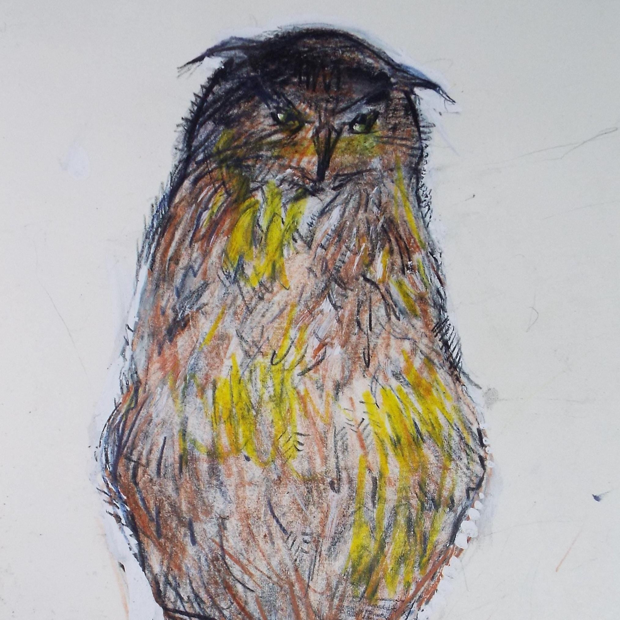Original coloured pencil & Gouache,'Owl', 2005, John Gilbey Bowles (1929-2011)