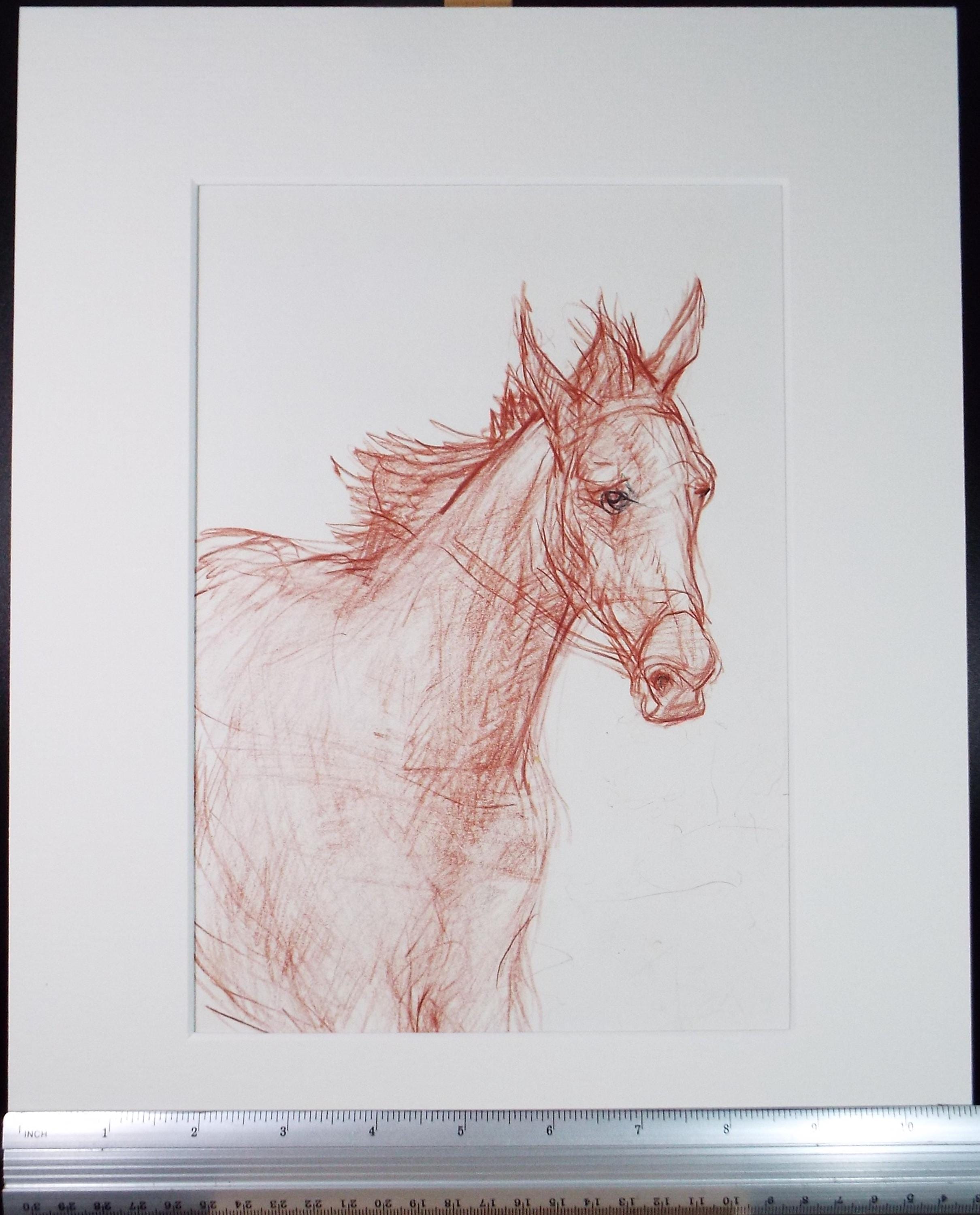 Original coloured pencil,'Horse', 2005, John Gilbey Bowles (1929-2011)