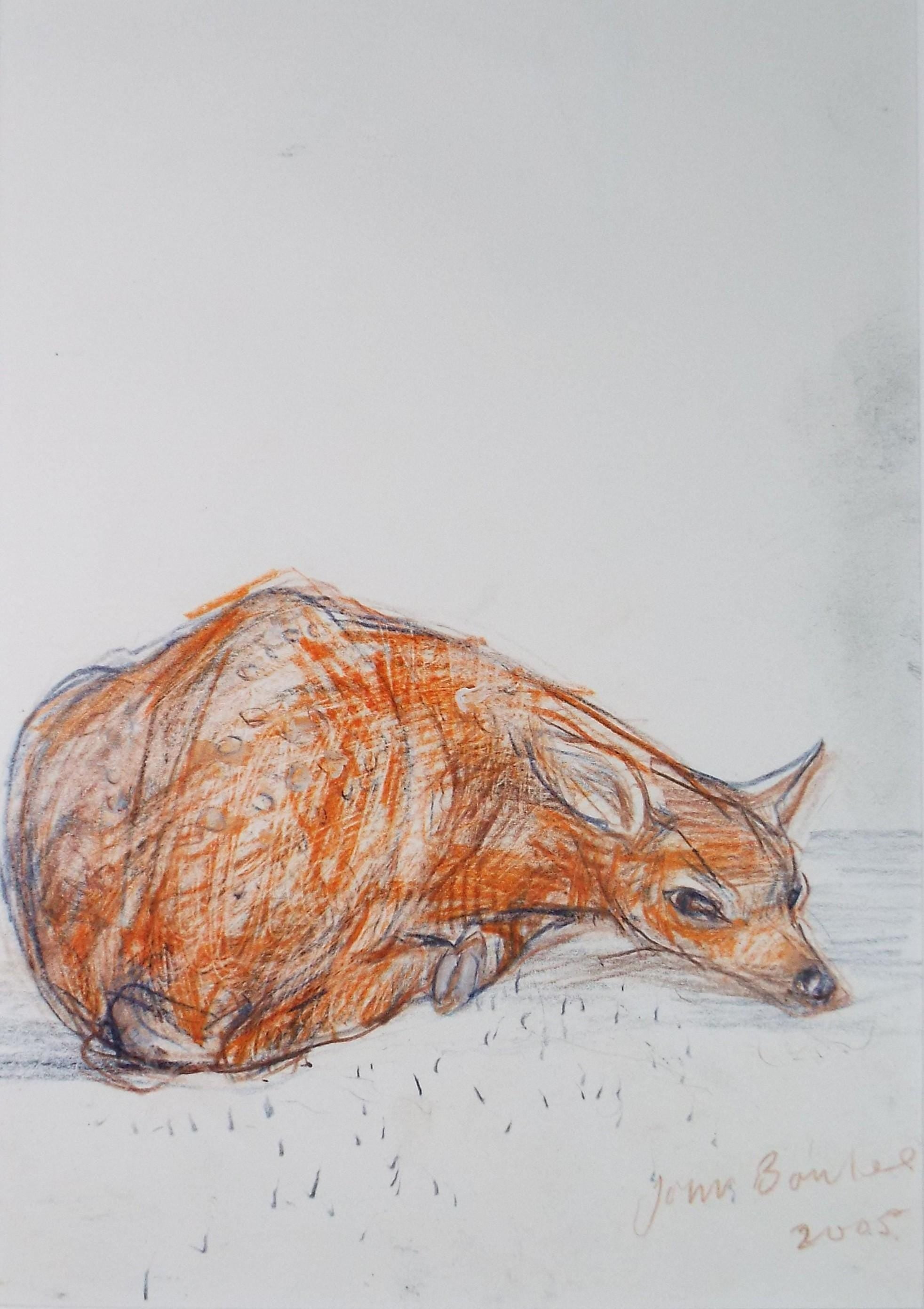 Original coloured pencil,'Fawn', 2005, John Gilbey Bowles (1929-2011)