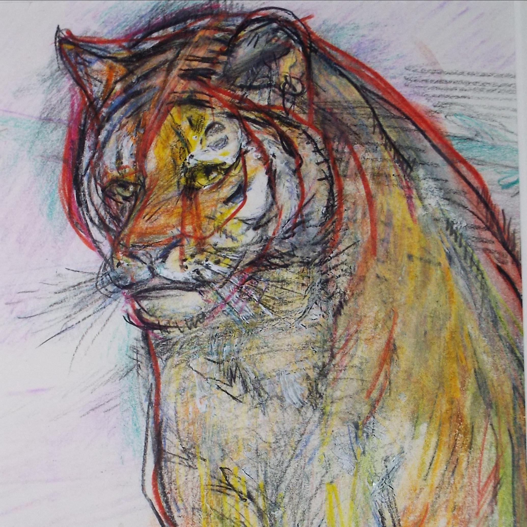Original coloured pencil & Gouache,'Tiger', 2005, John Gilbey Bowles (1929-2011)