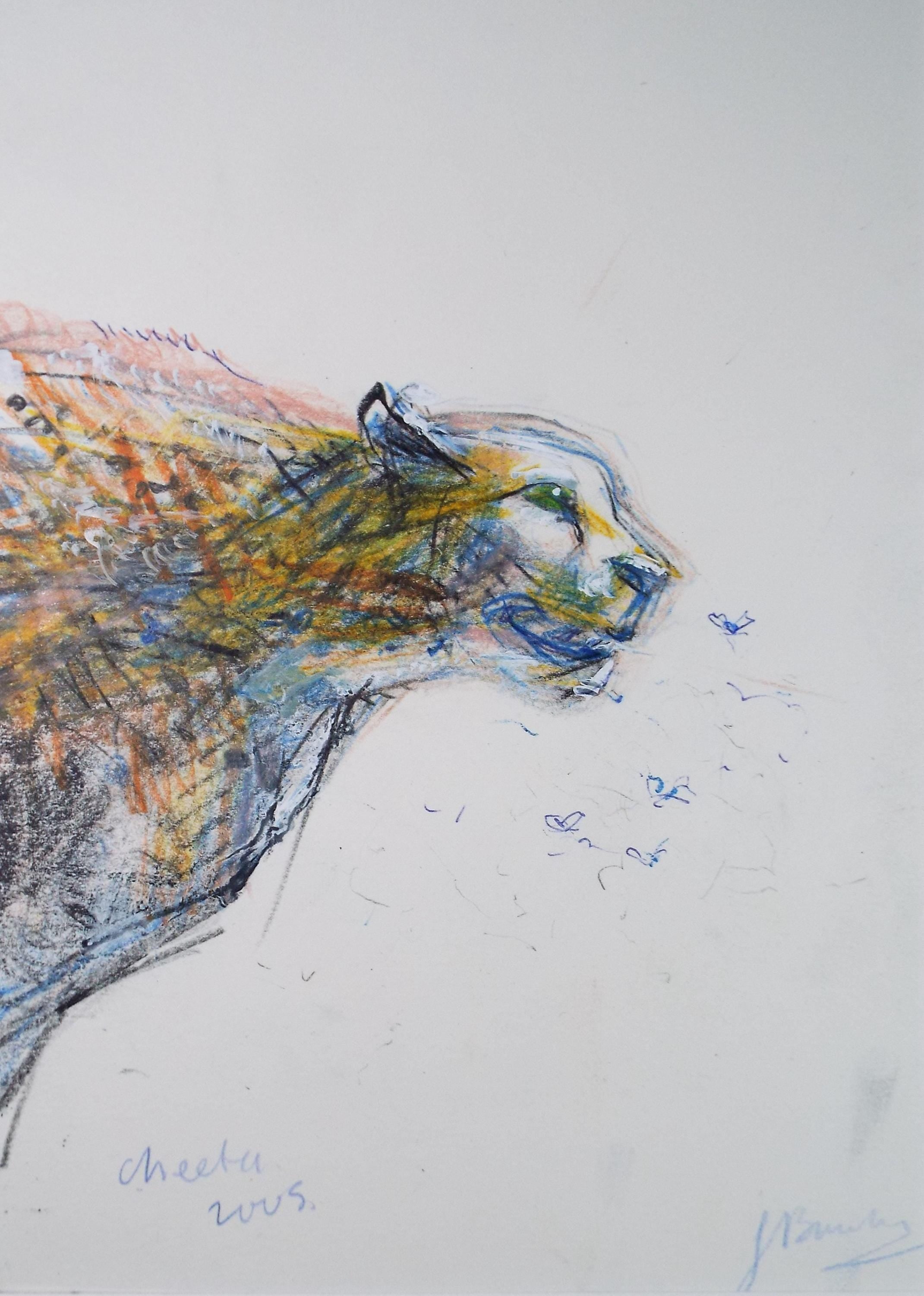 Original coloured pencil & Gouache,'Cheetah', 2005, John Gilbey Bowles (1929-2011)