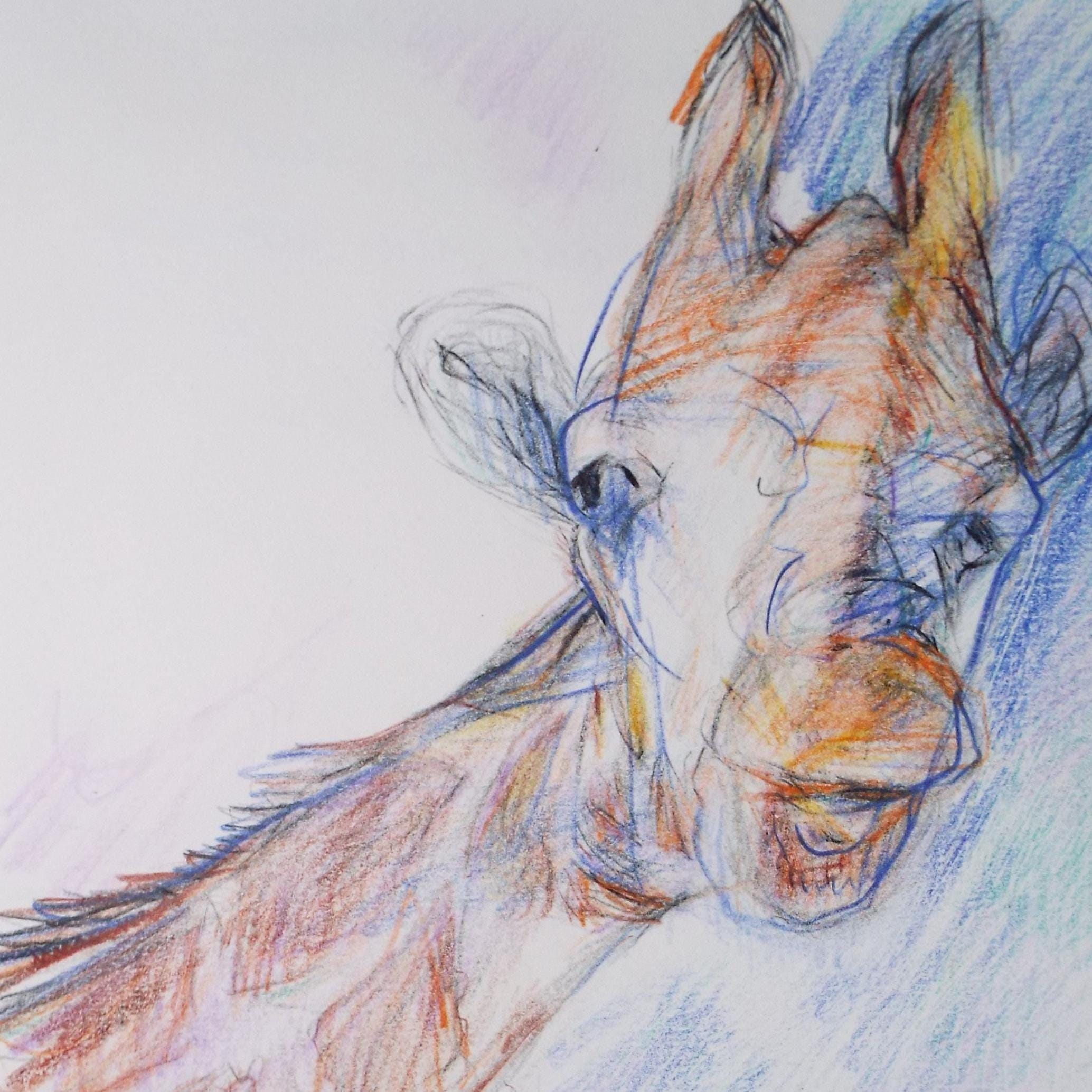 Original coloured pencil,'Giraffe', 2005, John Gilbey Bowles (1929-2011)