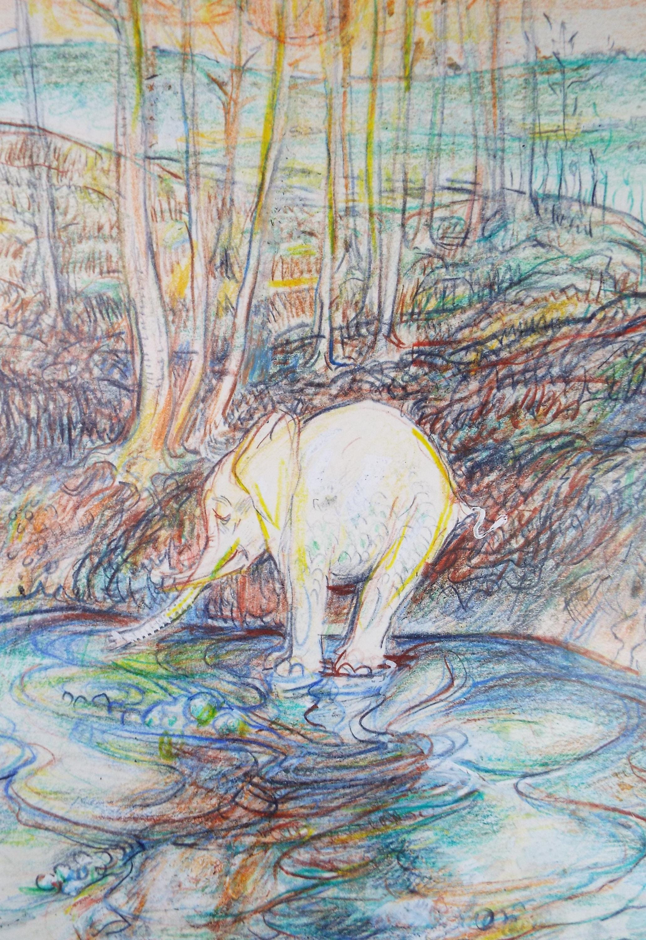 Original coloured pencil ,'Elephant in a pool', 2005, John Gilbey Bowles (1929-2011)