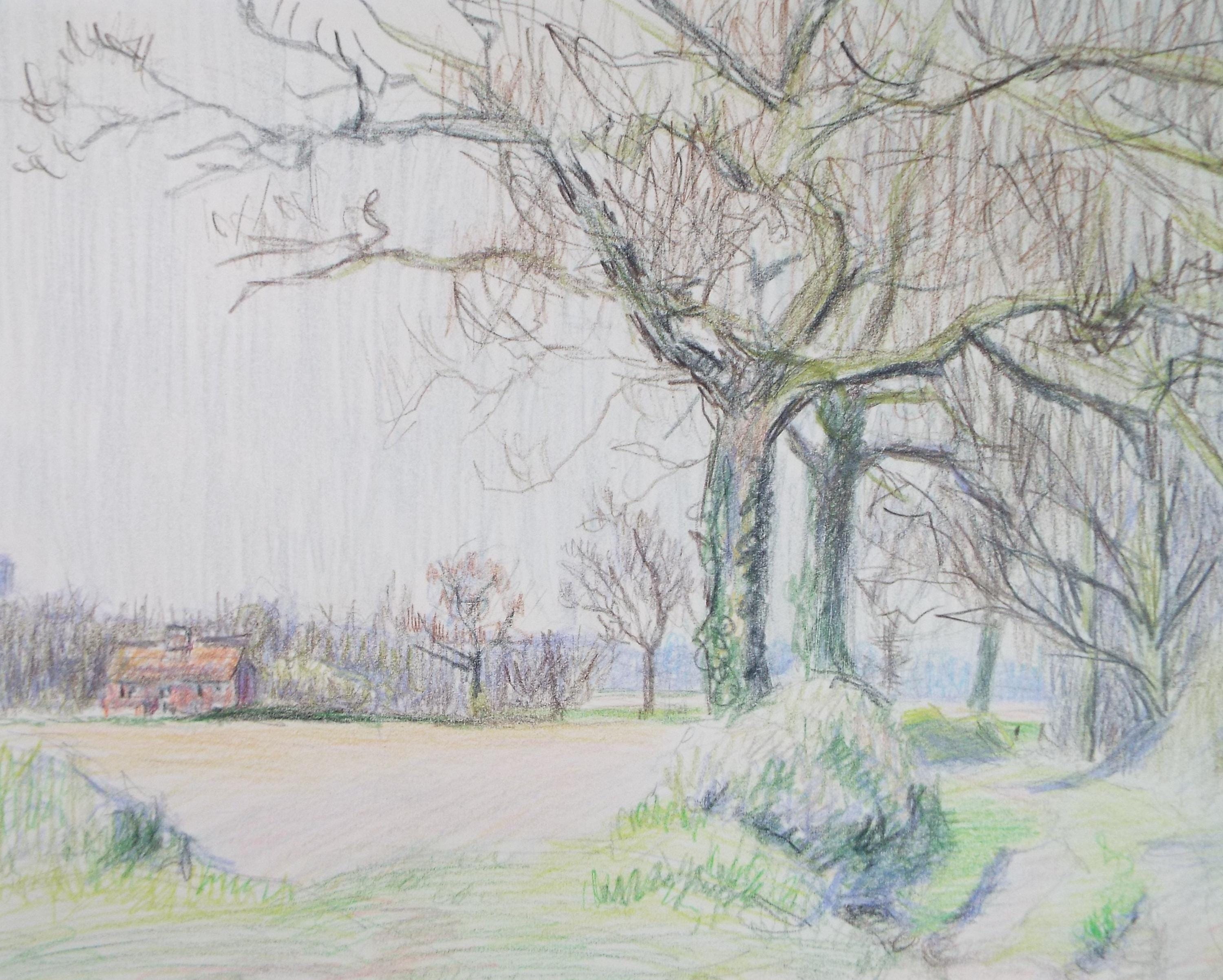 Coloured Pencil drawing 'Cottage in Farmland', Pauline Plummer (b1933), Circa 1990's