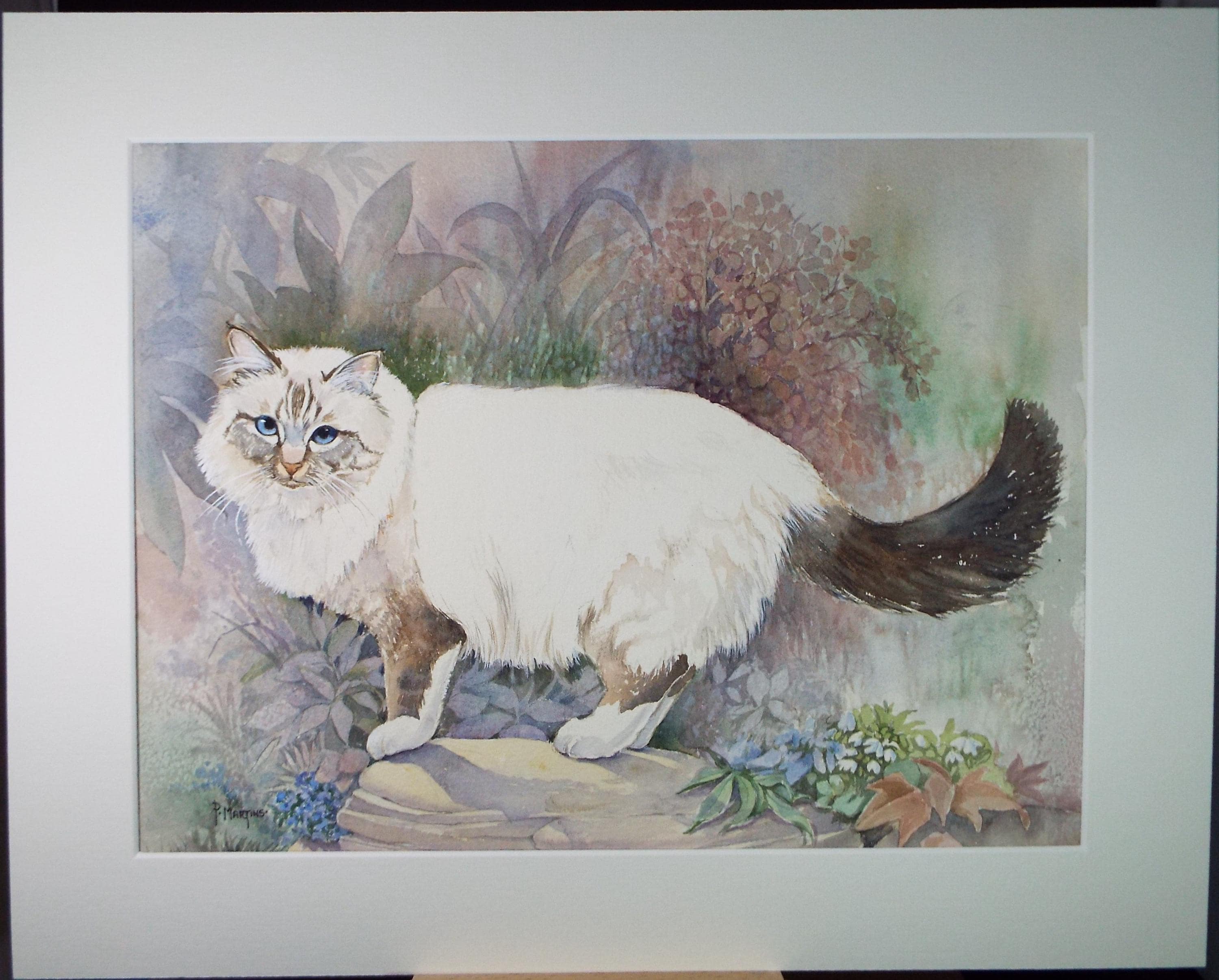 Original Watercolour, 'Poppy - Cat in the Garden',P Martins s.o.f.a, Circa 1990's