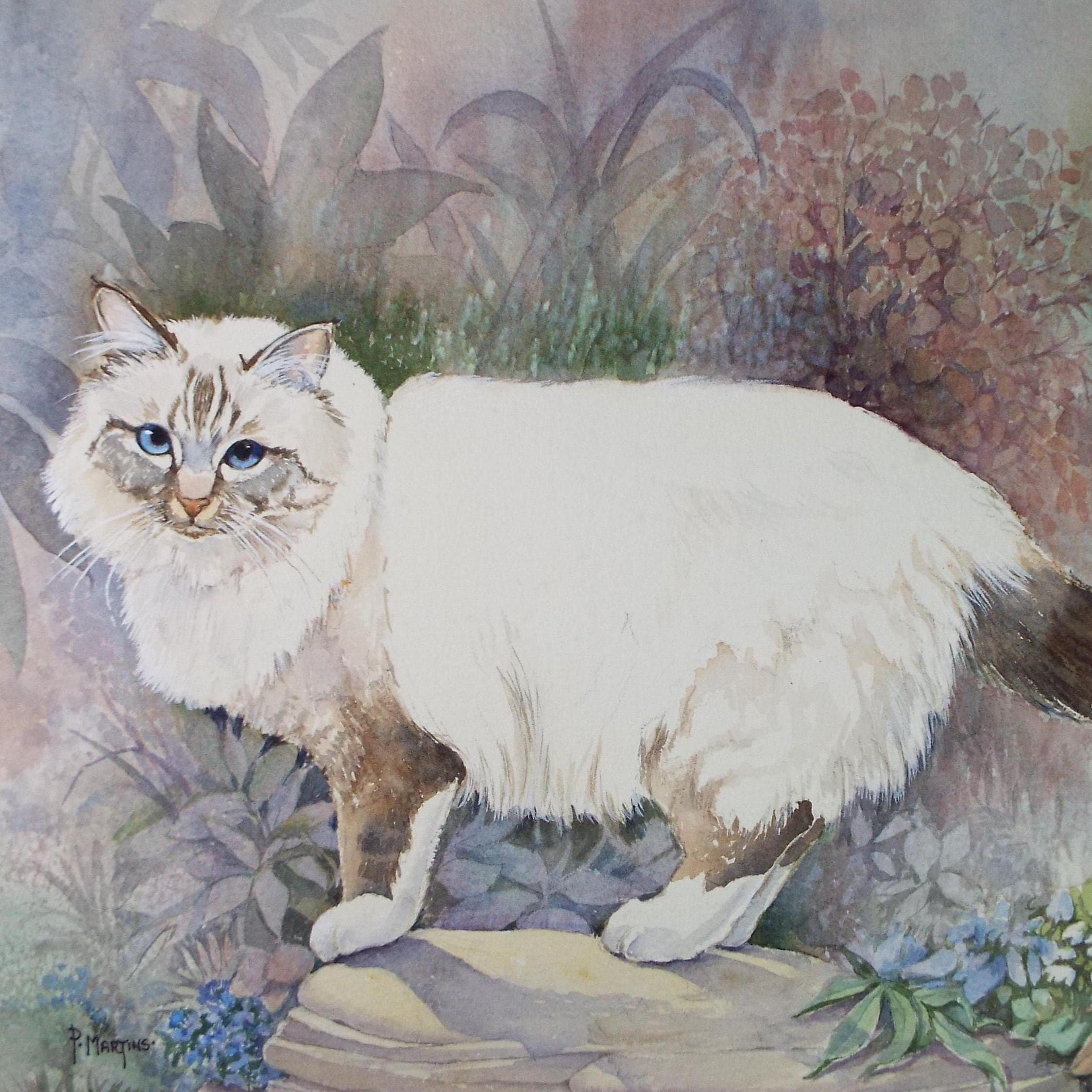 Original Watercolour, 'Poppy - Cat in the Garden',P Martins s.o.f.a, Circa 1990's