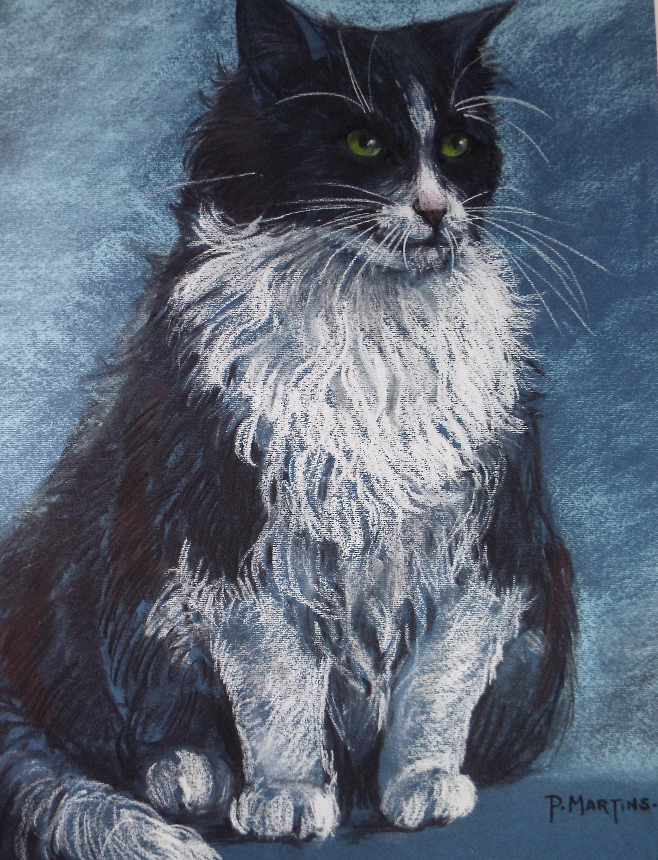 Original Pastel, 'Black & White Cat',P Martins s.o.f.a, Circa 1990's