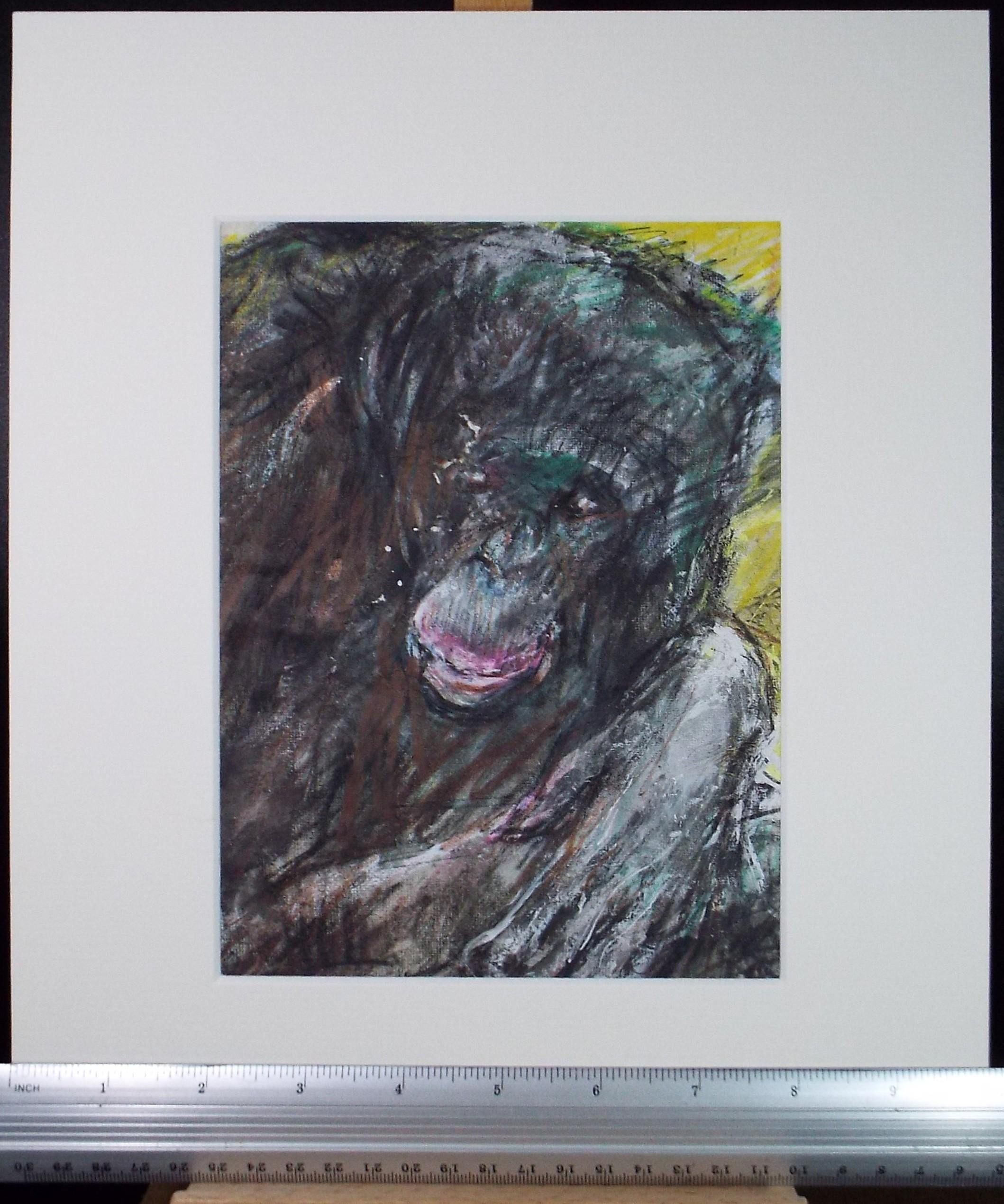 Original mixed media,'Chimpanzee', circa 1990's, John Gilbey Bowles (1929-2011)