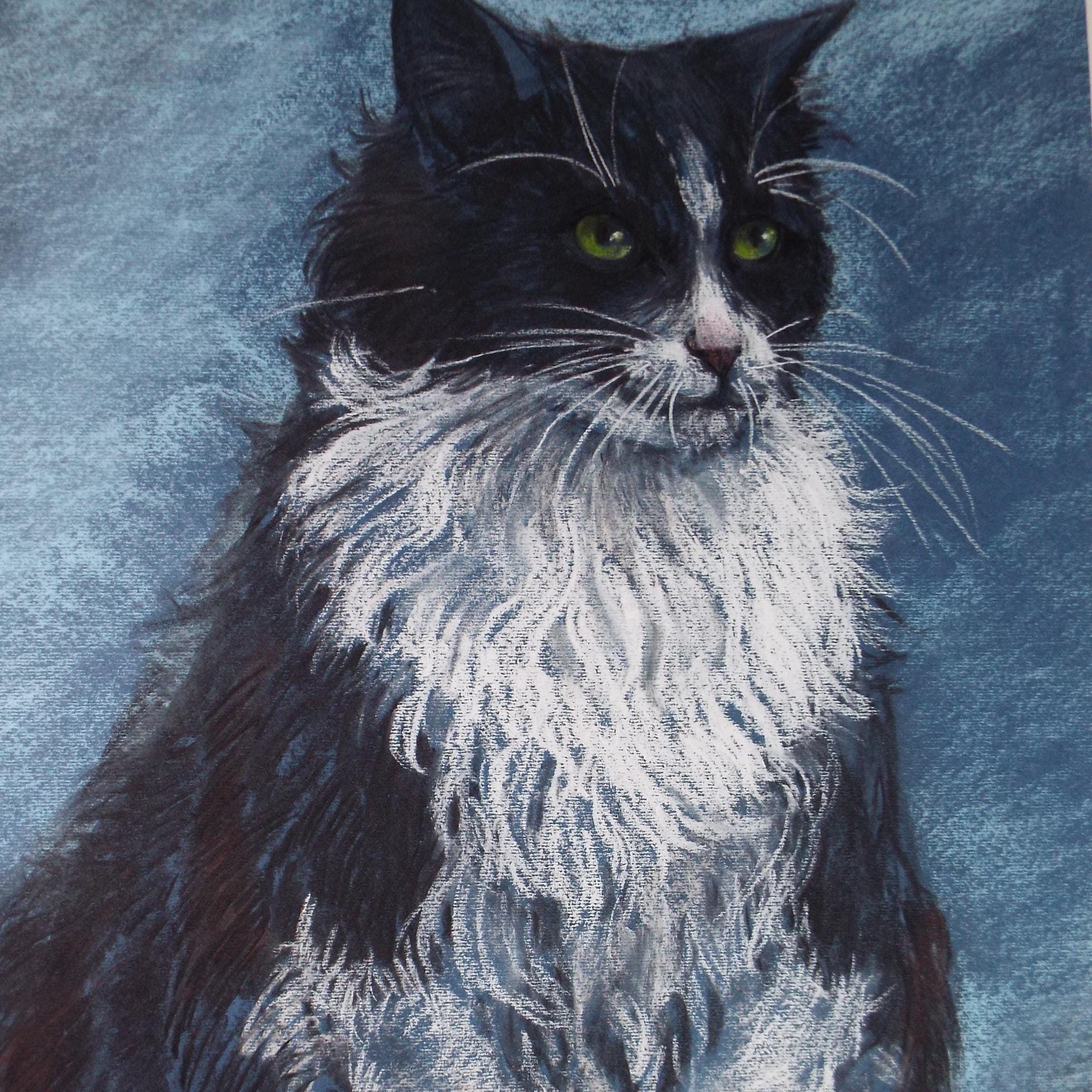 Original Pastel, 'Black & White Cat',P Martins s.o.f.a, Circa 1990's