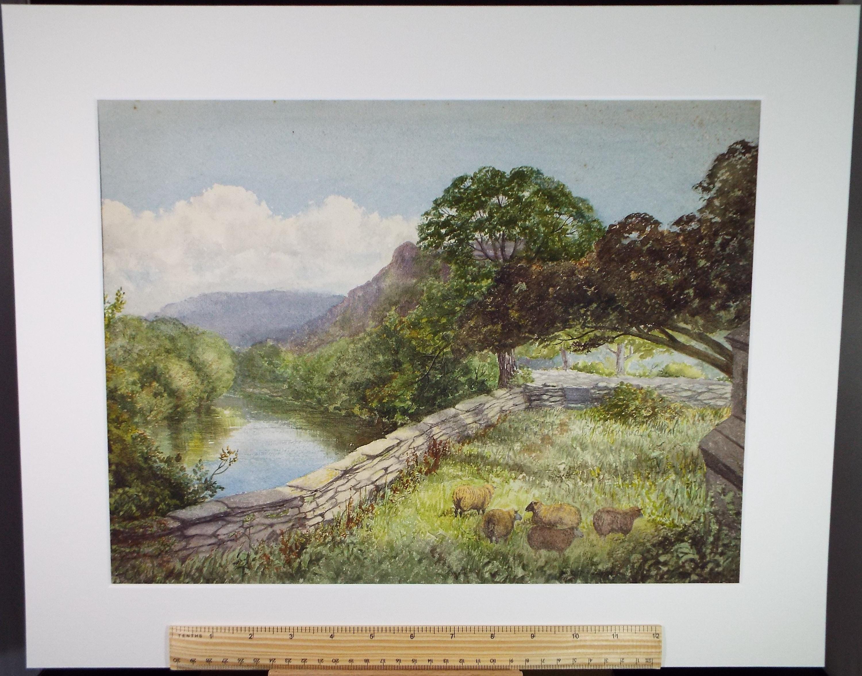 Original Watercolour, 'Sheep above a river', Early 20th Century Artist Unknown