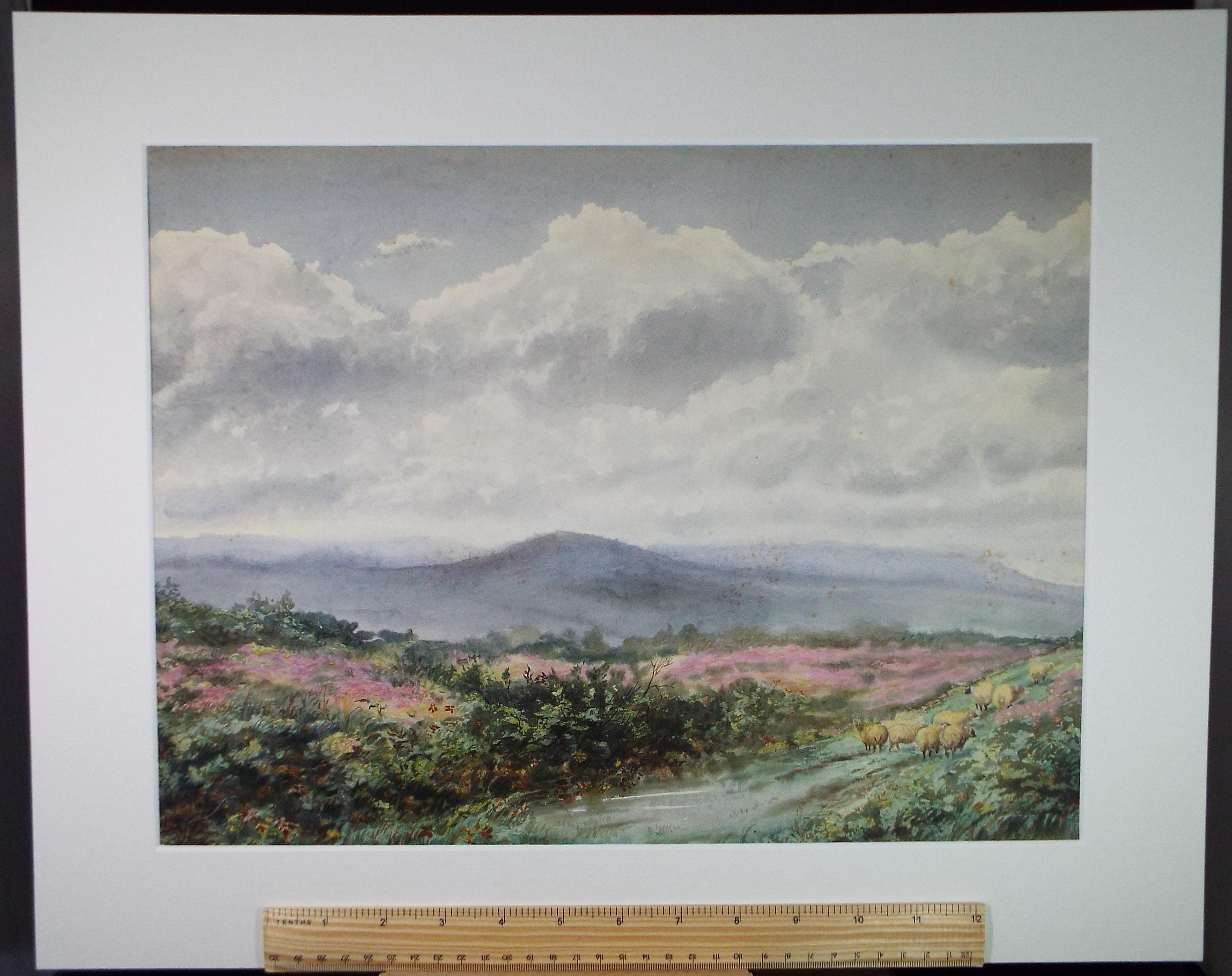 Original Watercolour, 'Sheep in a Landscape', Early 20th Century Artist Unknown