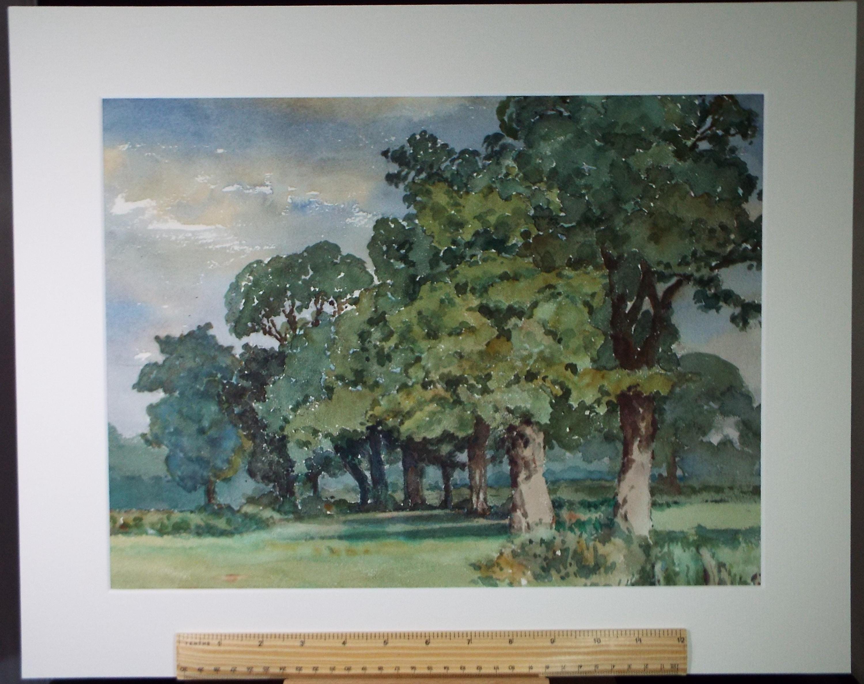 Original Watercolour, 'Adjoining fields', Henry Potter Stevens (1875-1965) Dated 1959