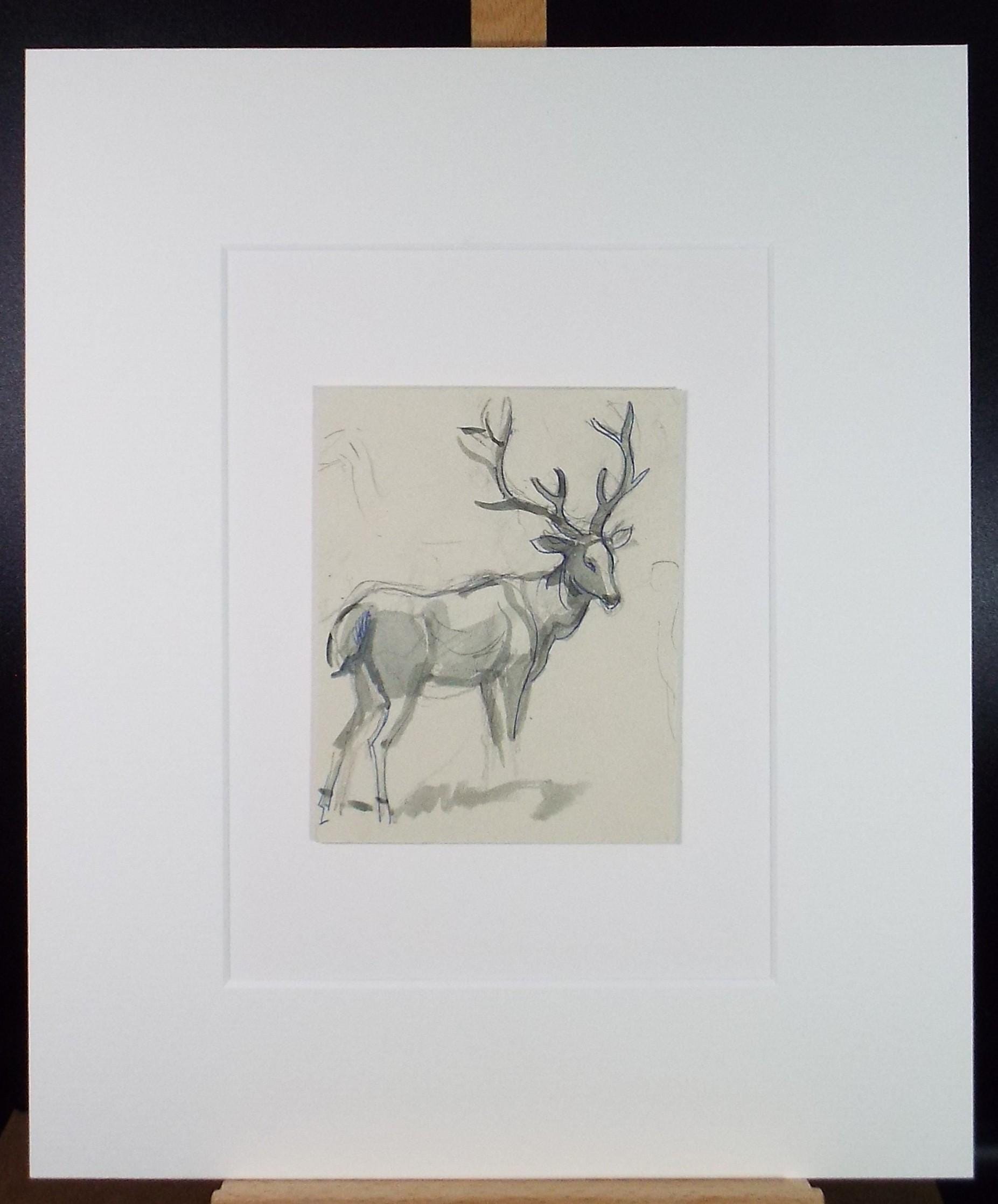 Original Ink & wash, 'Deer Study', Circa 1950's
