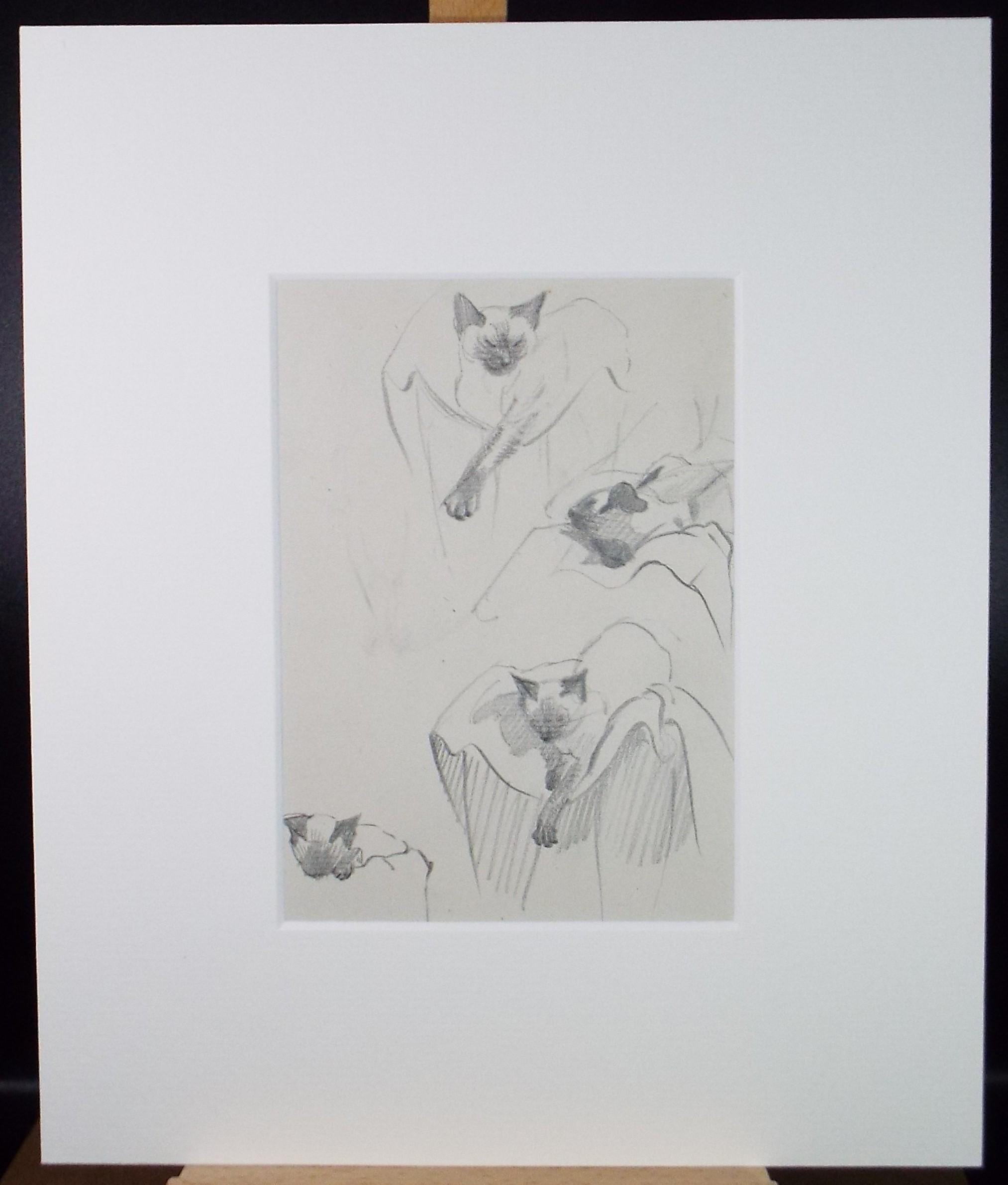 Pencil Drawing, 'Cat Studies', Circa 1950's