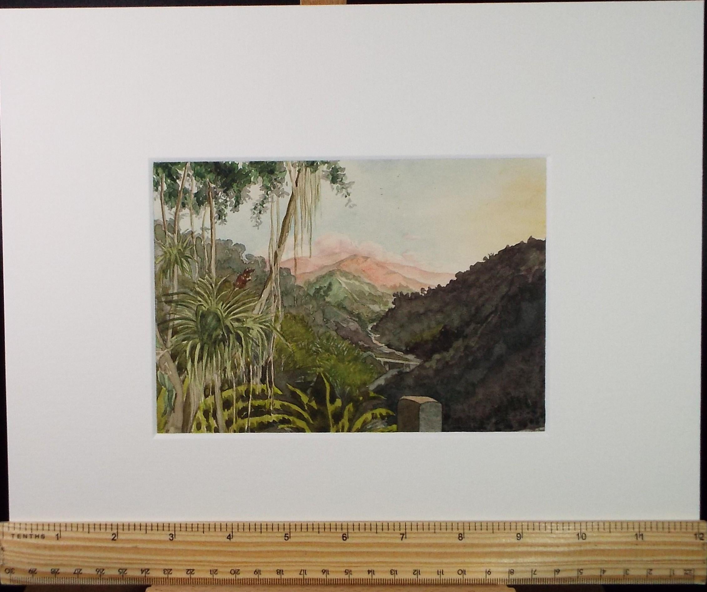Original Watercolour, 'Rio Cobre, Jamaica', Circa 1950's, Ivy T. Attwell (1895-1985)