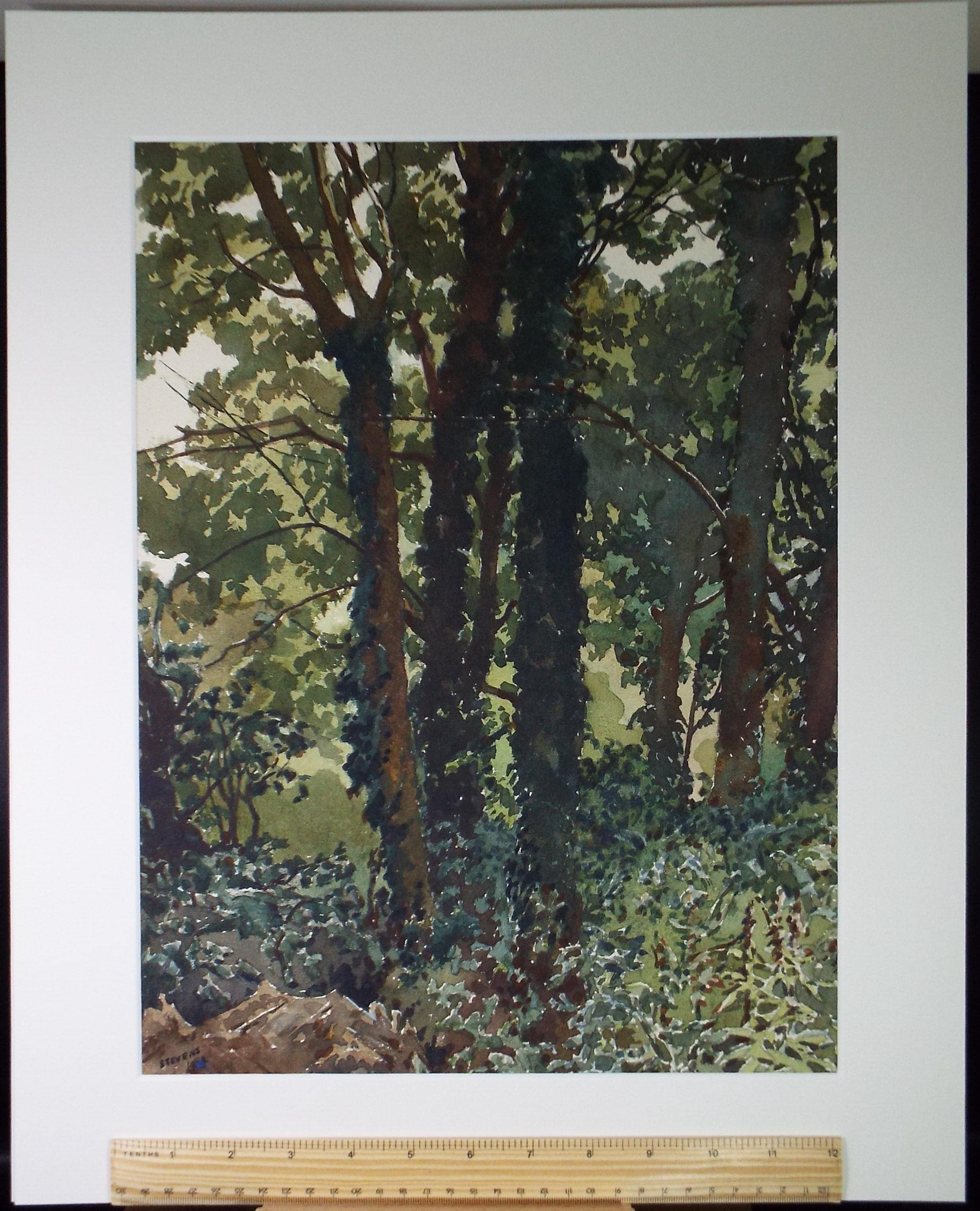 Original Watercolour, 'Study of Trees', Henry Potter Stevens (1875-1965) Dated 1959