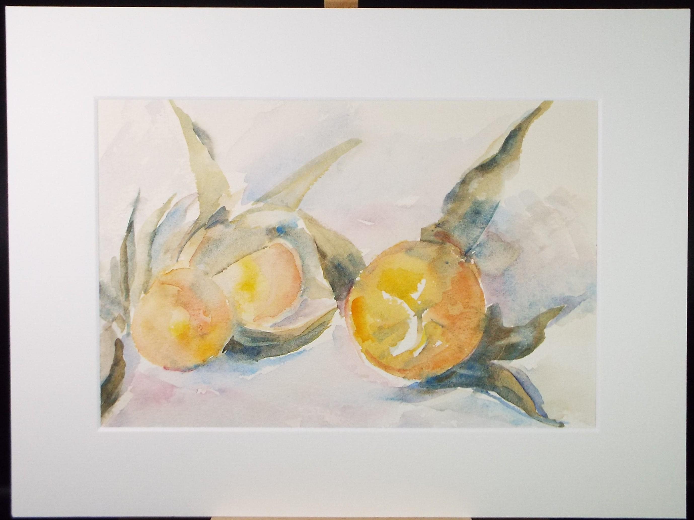 Original Watercolour 'Still life of Citrus Fruit', Dated 1974, Mildred Lockyer