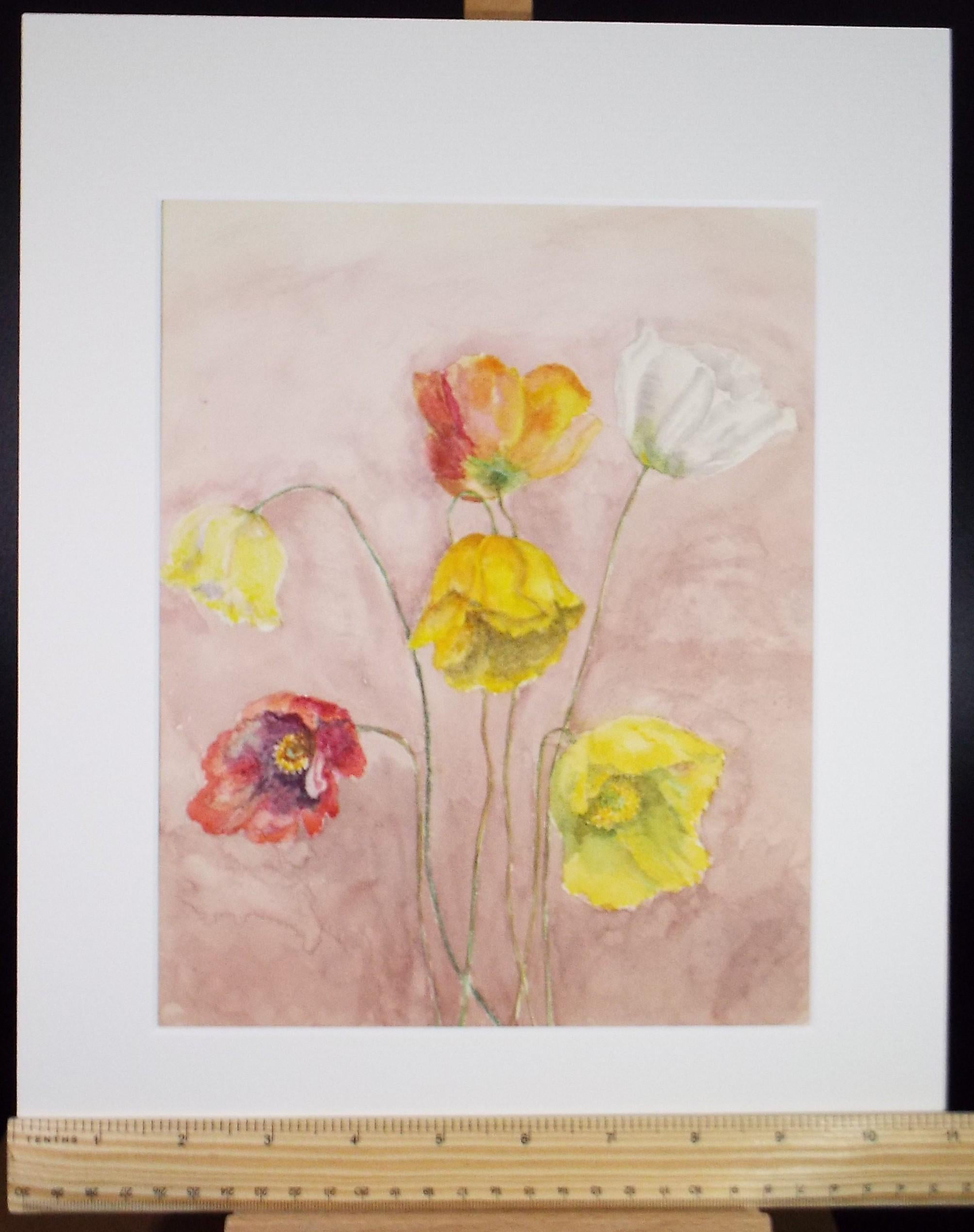 Original Watercolour, 'Study of Poppies' 1980's, unknown artist